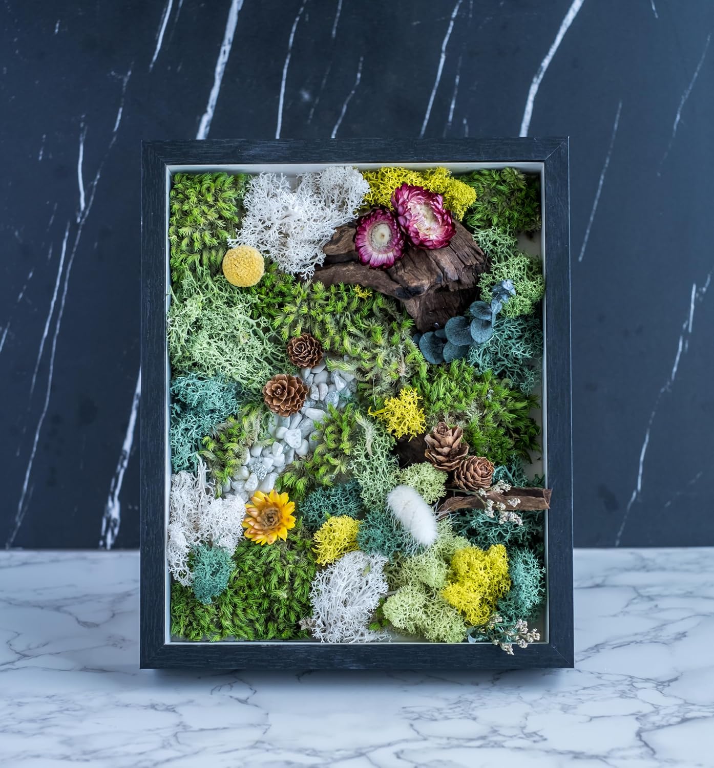 KRAFTSTORIES DIY Moss Wall Art Kit with 2 Black Frames | Preserved Moss | No Maintenance Required | Craft Activity for Adults | Moss Wall Home Decor | Make Your Own Moss Art (Set of 2 Black Frames)