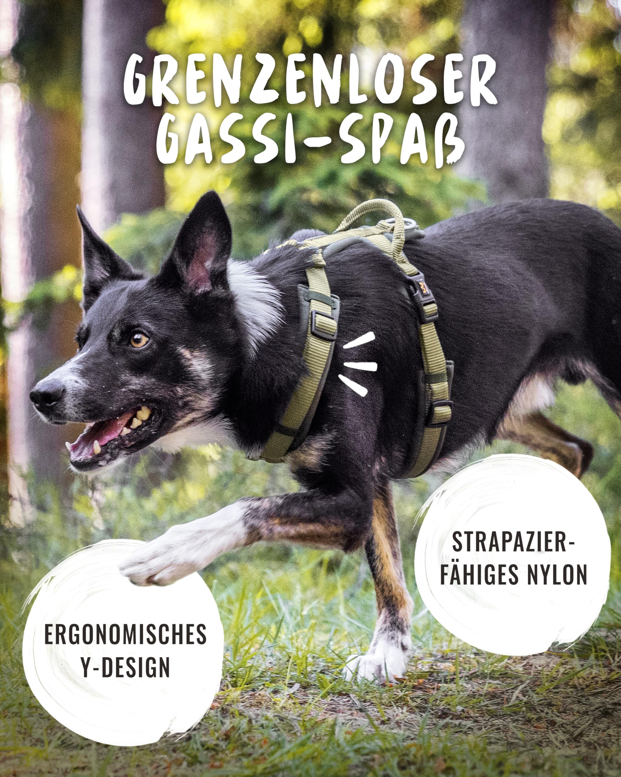 Rudelkönig Hundegeschirr Bella - Gepolstertes Brustgeschirr mit Haltegriff - Geschirr Hund mittel in Y-Design - Verstellbares Hundegeschirr mittelgroße Hunde