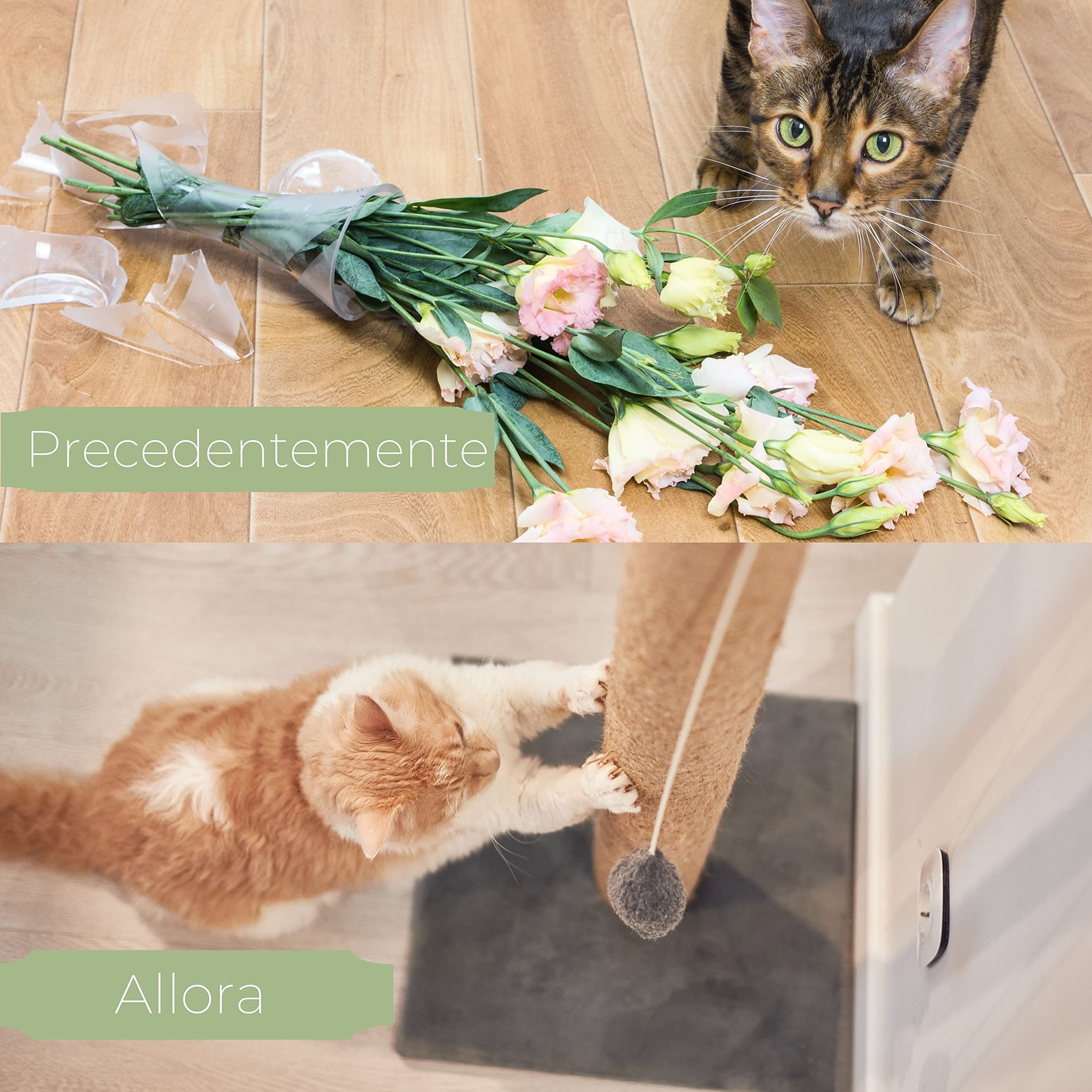 Mobiclinic® pets, Tiragraffi per gatti, Modello silvestre, Grandezza media, Arrampicarsi, 3 altezze, Piattaforme e ripari, Giochi, Antistress, Corda di sisal, Supporta max.10 kg, Grigio