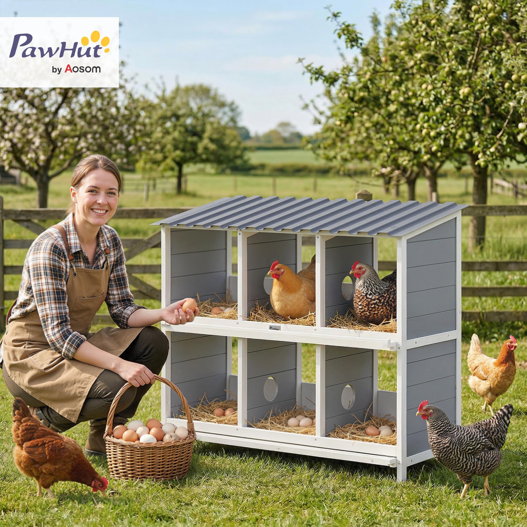 PawHut Nido para pollos, 6 compartimentos, 2 perchas 102 x 50 x 91 cm, color gris | Nido de pollo de madera resistente a la intemperie, techo de PET elevado para animales pequeños