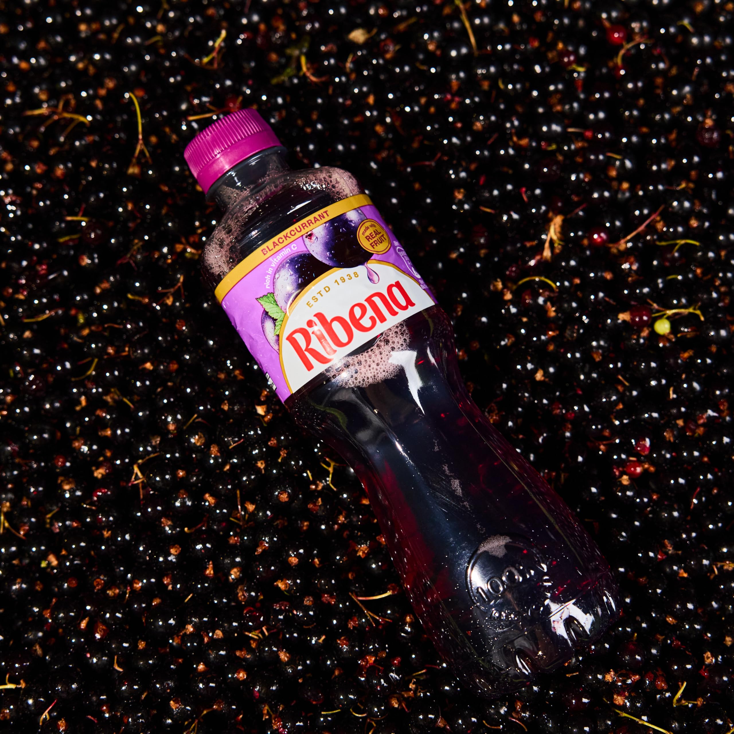 Ribena Blackcurrant Drink 500 ml (Pack of 12)