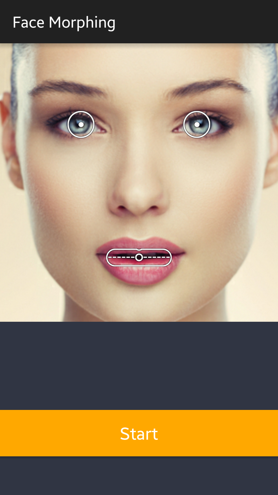 Animal Face Face Morphing App on Amazon Appstore