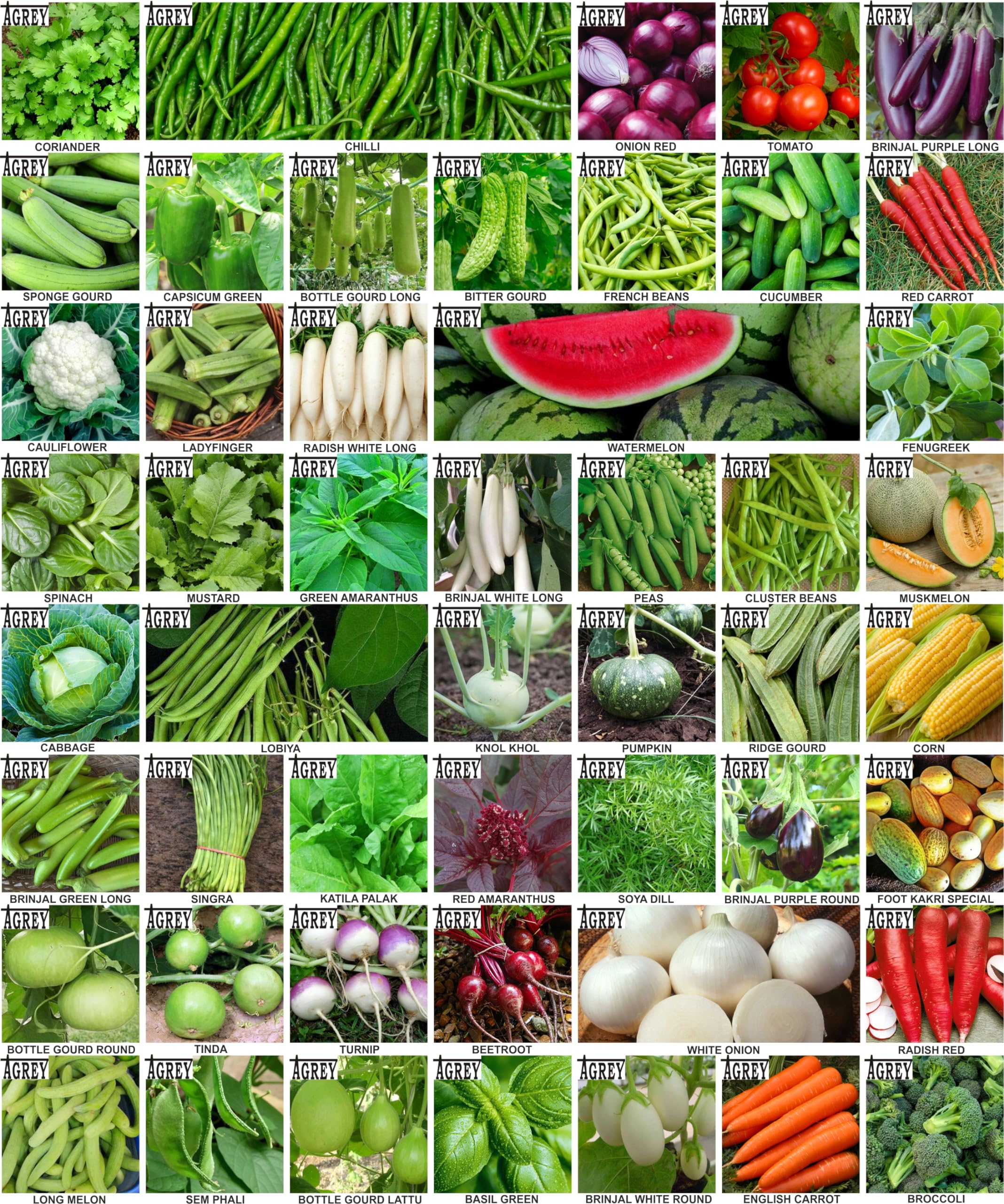 Agrey combo of 50 variety vegetable seeds with manual. (B0CSWP95RL) Amazon Price History, Amazon Price Tracker