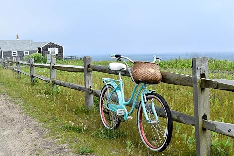 Schwinn Perla Women's Cruiser Bicycle 