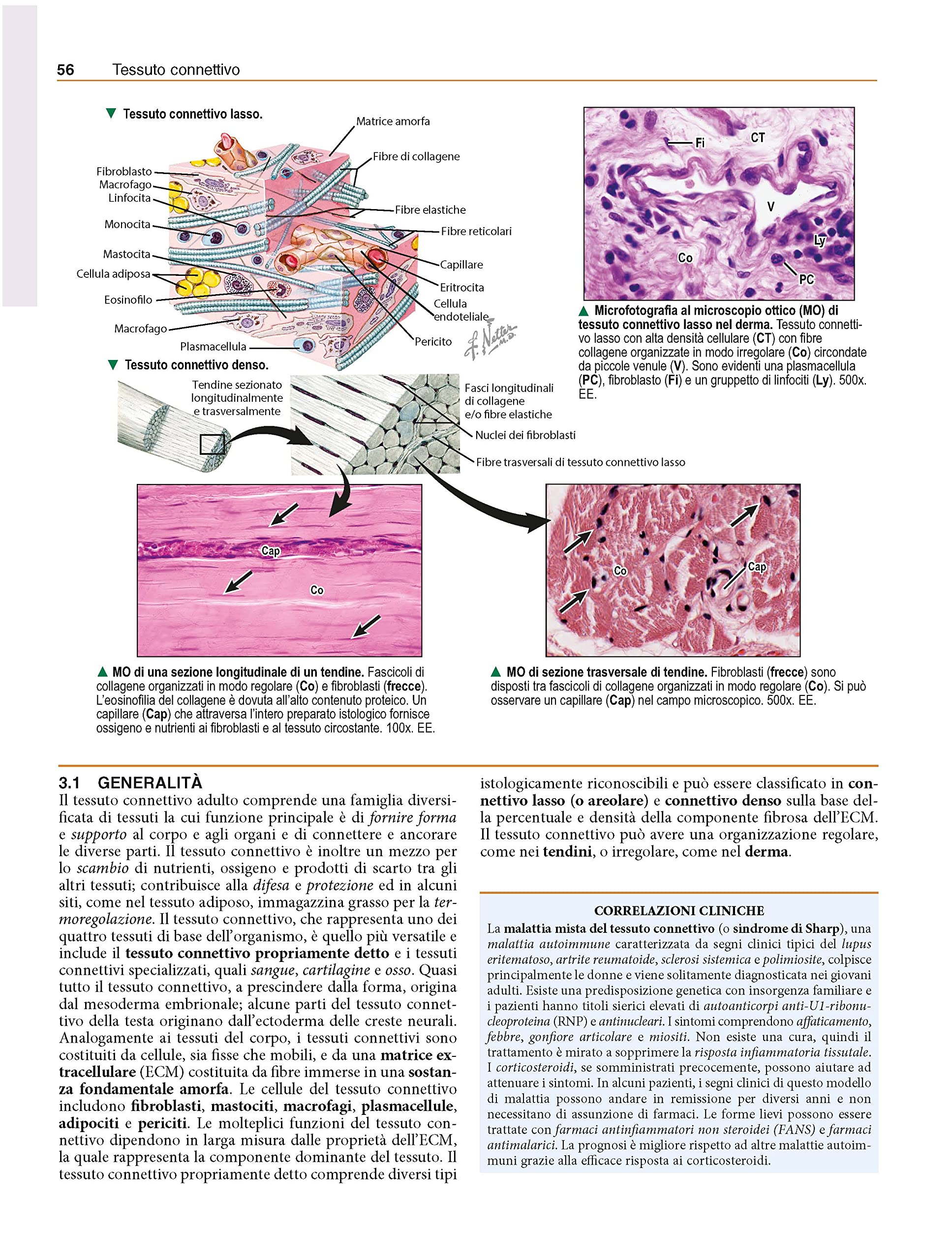 Netter's. Istologia e anatomia microscopica. Con correlazioni cliniche e istopatologiche