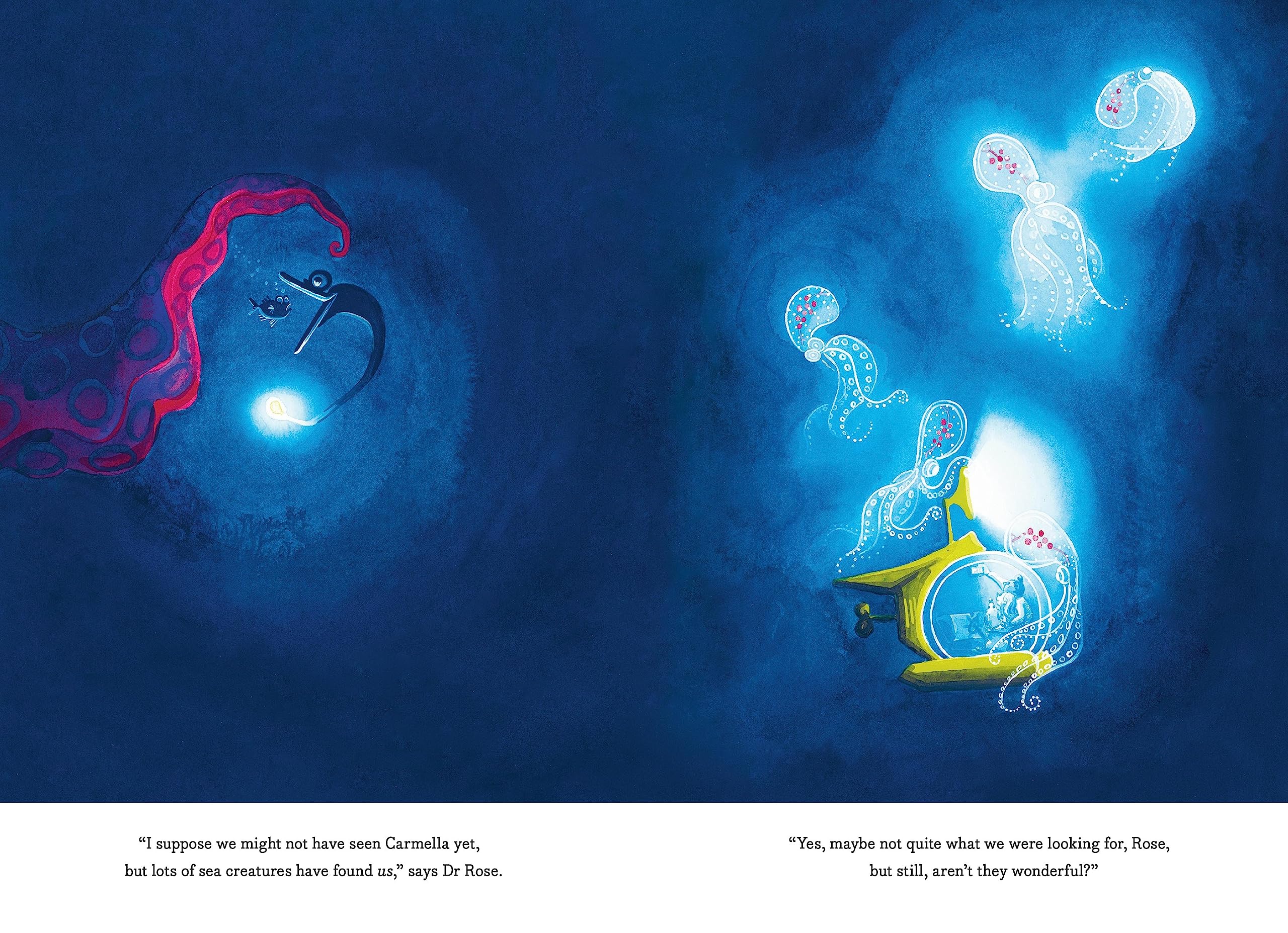 The Search for Carmella: From Waterstones Children's Book Prize winner Chloe Savage comes a magical and suspenseful picture book of deep sea ... aged 4 and above: 2 (Hidden Wonders, 2)