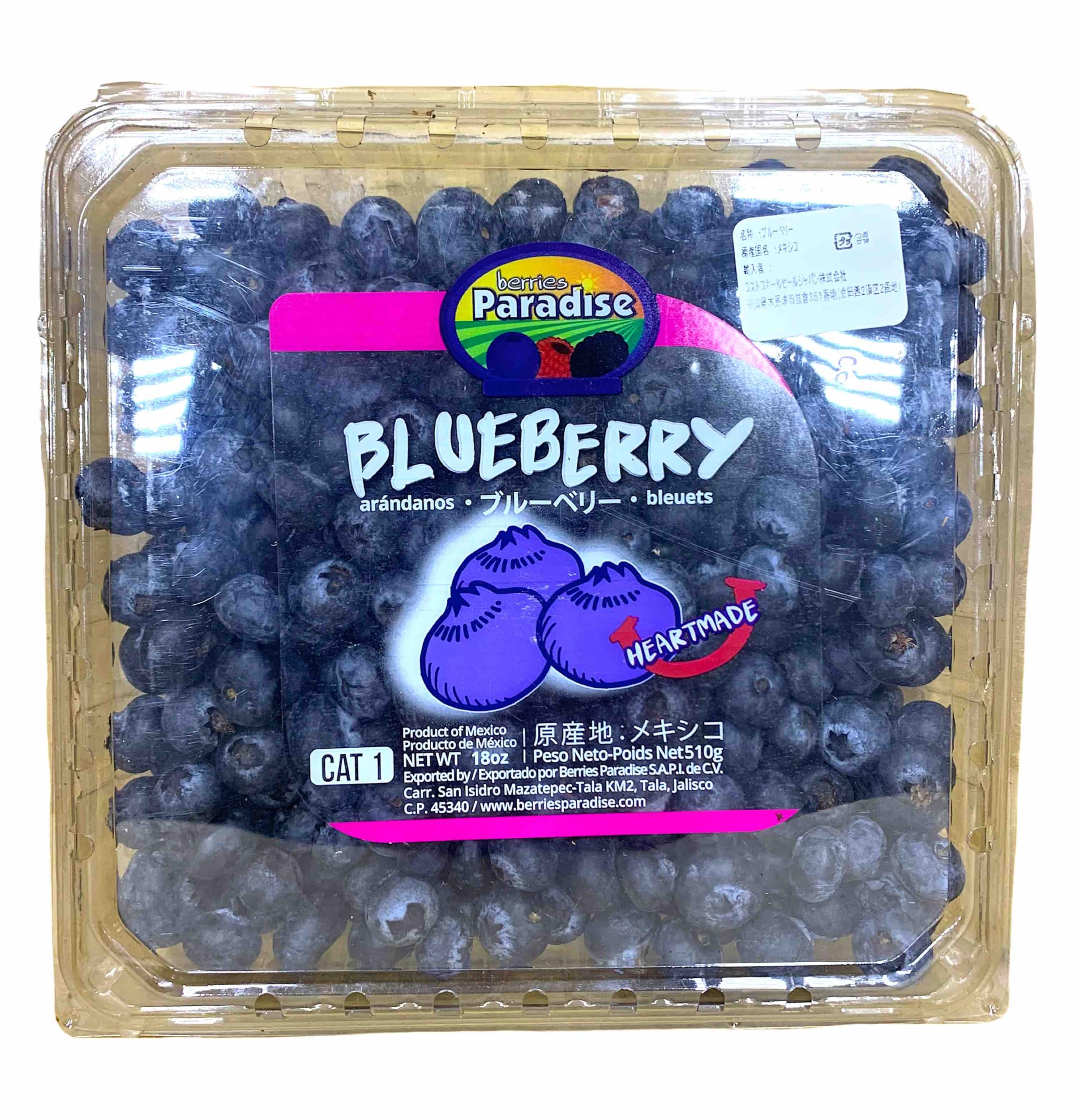 Amazon.co.jp: 【生 ブルーベリー】新鮮 500g (18oz) 弾ける