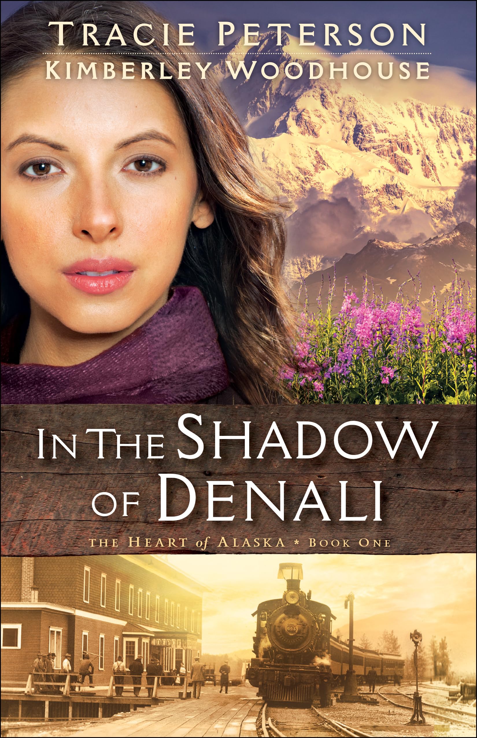 In the Shadow of Denali Tracie Peterson, Kimberley Woodhouse Paperback
