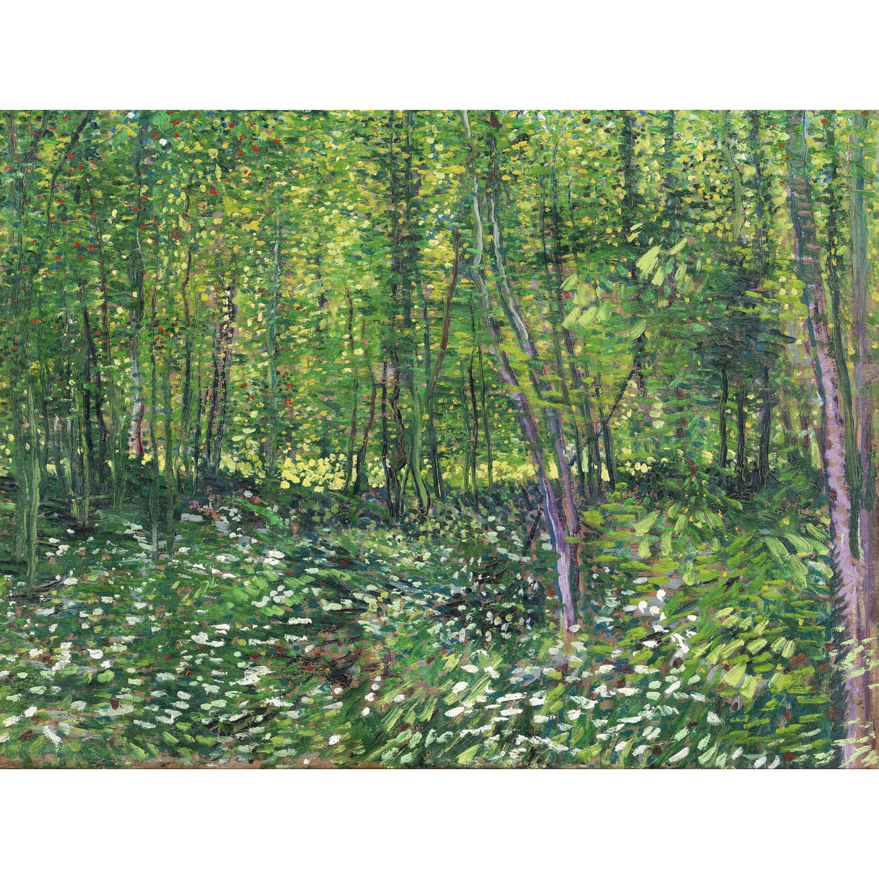 Vincent Van Gogh Trees And Undergrowth Large Art Print Poster Wall Decor Premium Mural