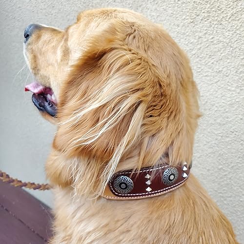 Miniatura 10 de BlazingPaws Armington - Collar de perro del oeste de cuero grueso de lujo de 2 pulgadas de ancho para perros grandes, collar acolchado de gamuza