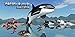 Orca Survival Simulator
