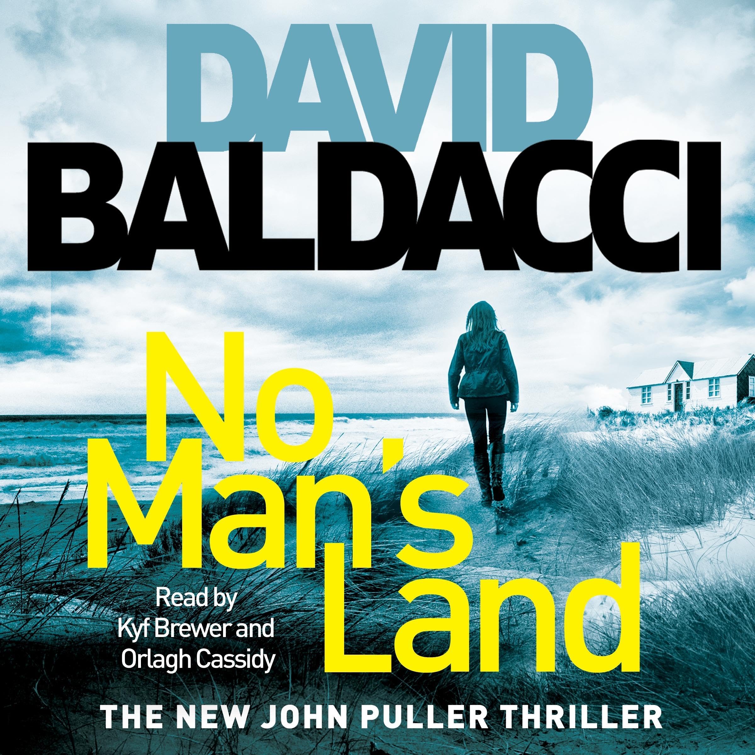 Cover art for No Man's Land: A John Puller Novel 4