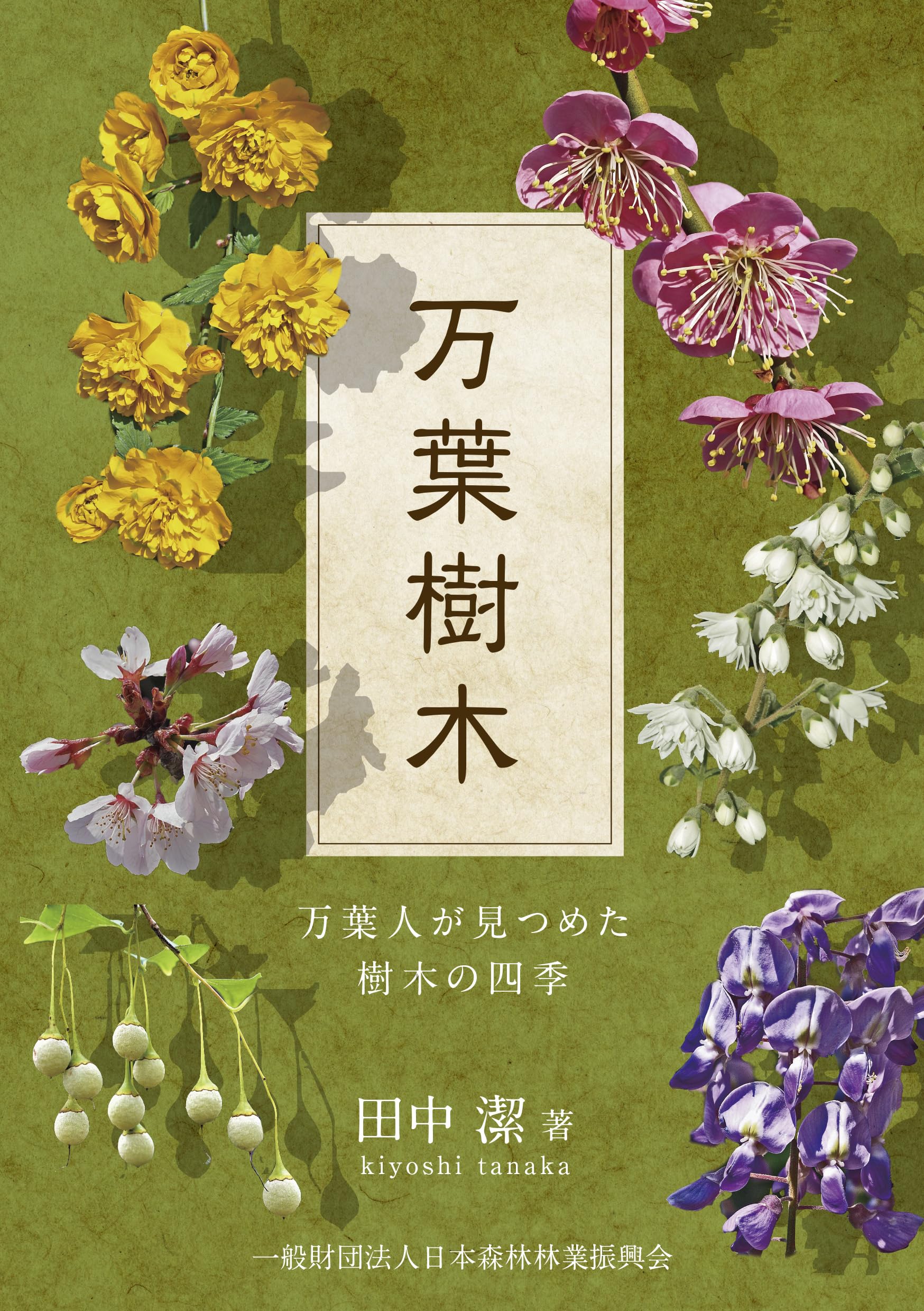 万葉樹木 万葉人が見つめた樹木の四季 | 田中 潔 |本 | 通販 | Amazon