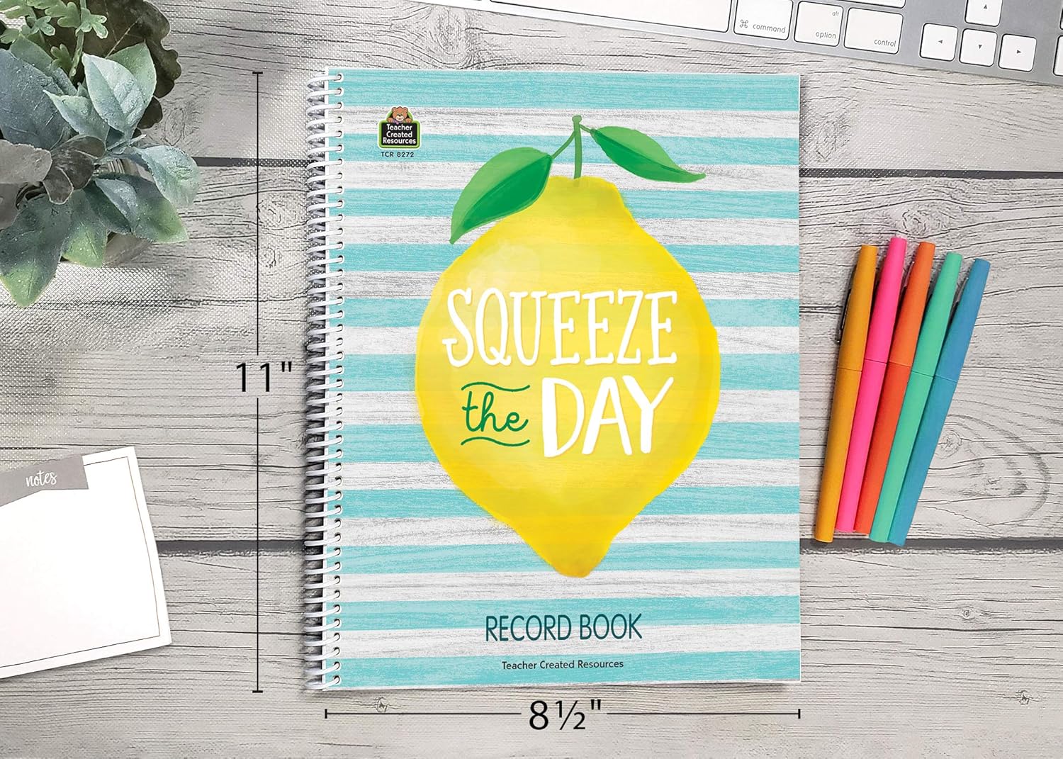 Teacher Created Resources ​Lemon Zest Record Book (TCR8272)