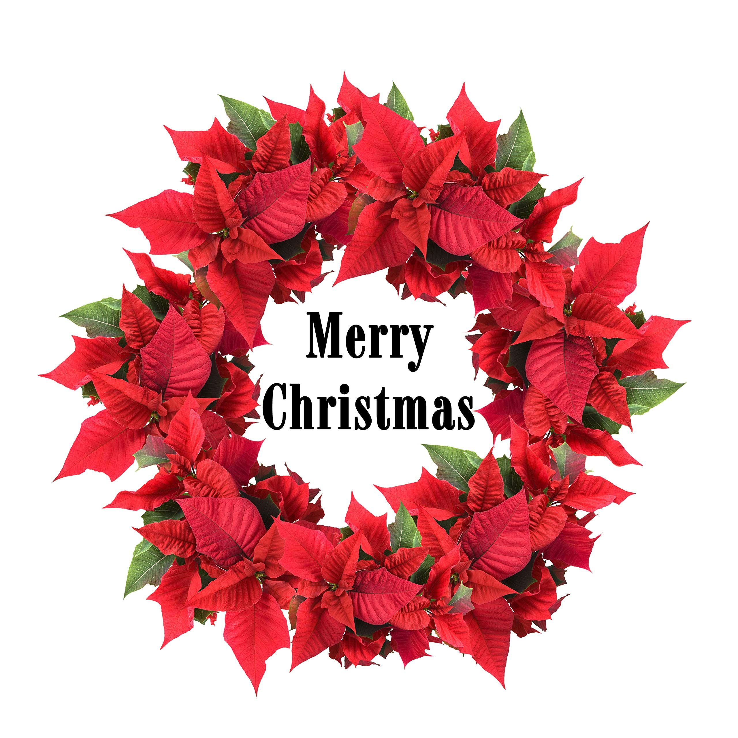 Larryroo Red And Green Traditional Style Poinsettia Christmas Wreath 7" Pre Cut On Decor Icing Sheet Edible Cake Topper - Perfect For Decorating Your Cake!