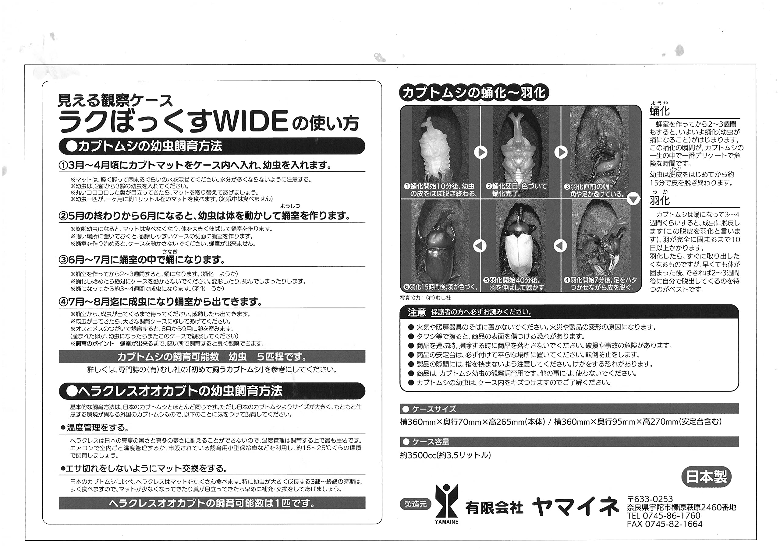 Amazon.co.jp: 【BIG HORN】ヘラクレスヘラクレス3令幼虫ペア