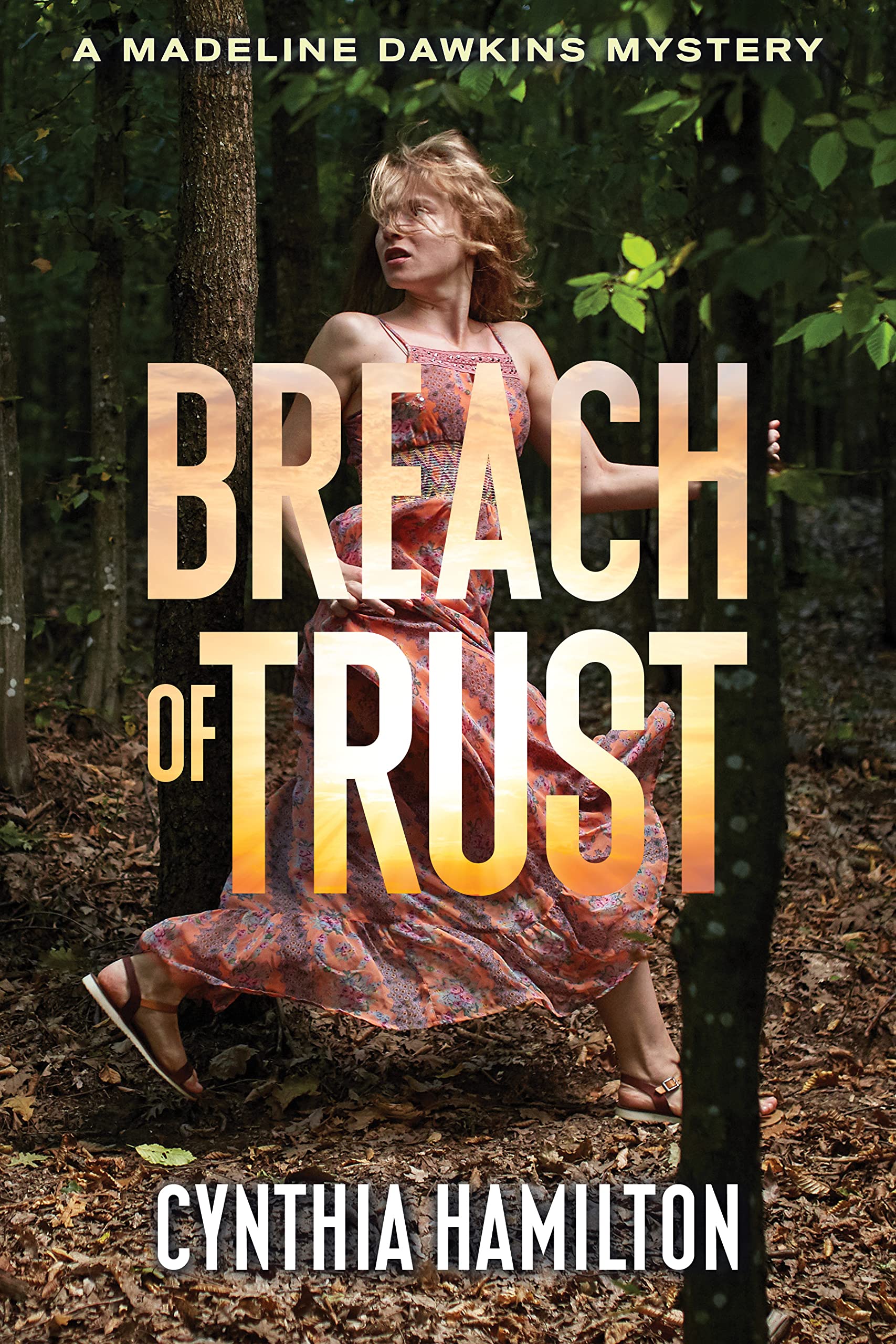 Breach of Trust (The Madeline Dawkins Mystery Series Book 8)