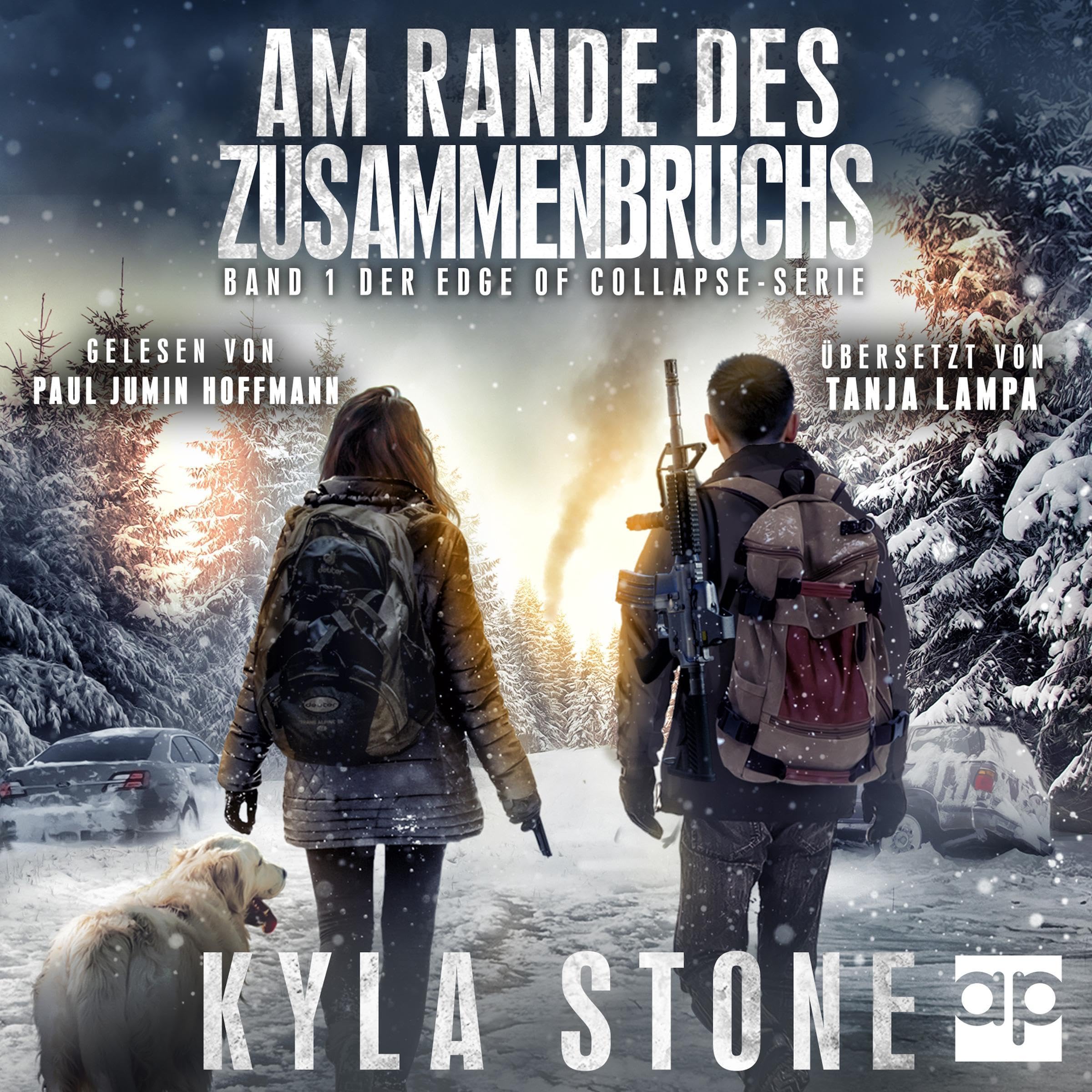 Cover art for Am Rande des Zusammenbruchs
