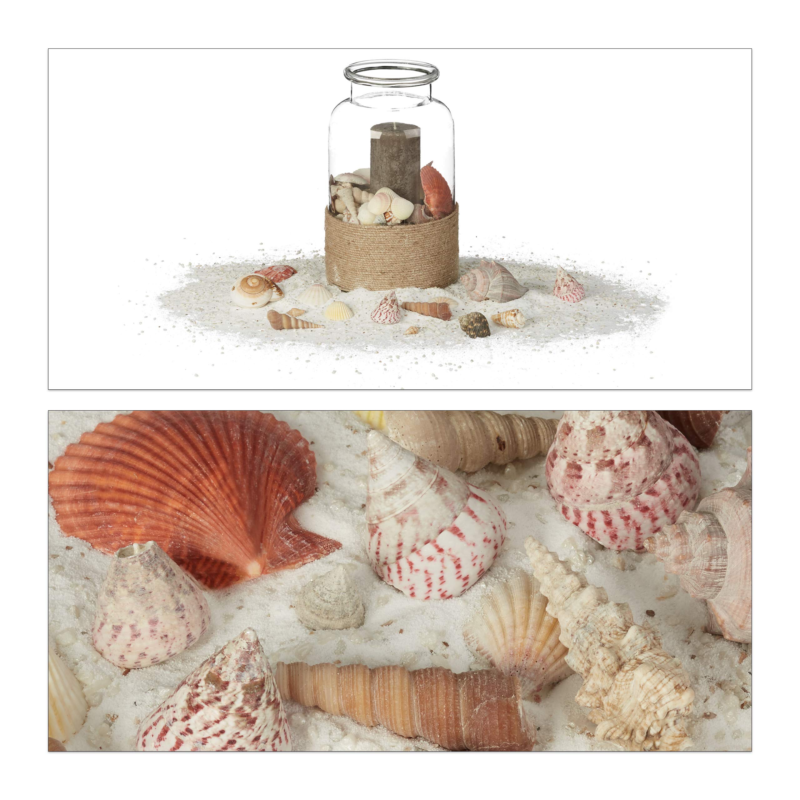 Relaxdays Muschel Deko im Set, Mix mit großen Meeresschnecken, Jakobsmuscheln, Stranddeko zum Basteln, maritim 1kg, bunt