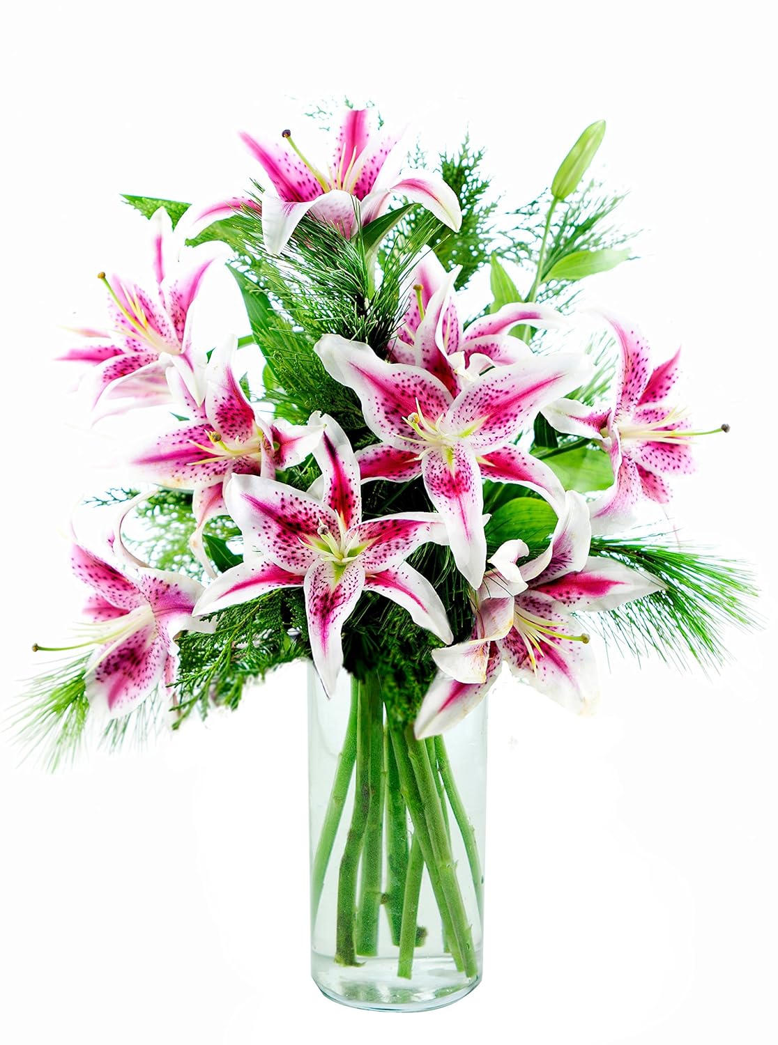 KaBloom - KaBloom Wintergreen Stargazers - Fresh Flowers for Birthday, Valentine's & Mother's Day