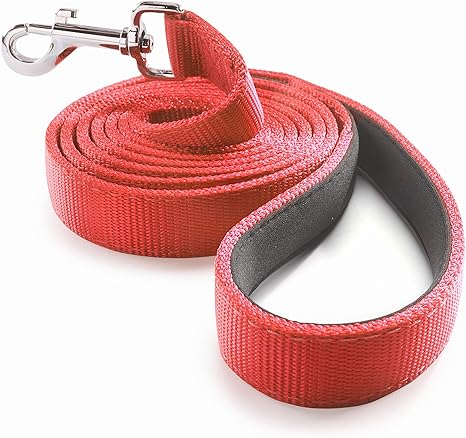red dog leash