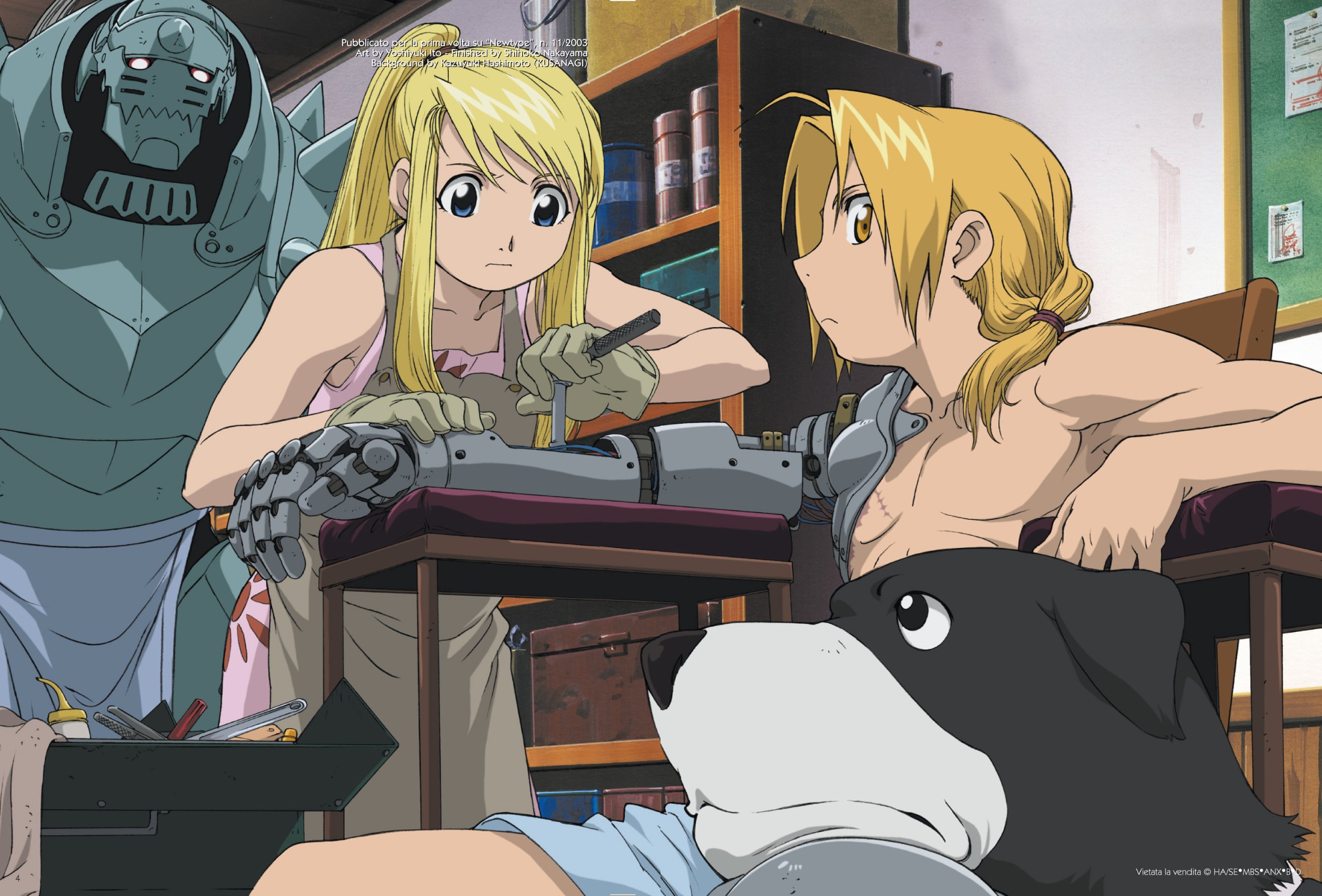 Fullmetal Alchemist - Metal Box #02 (Limited) (Eps 18-34) (3 Dvd)