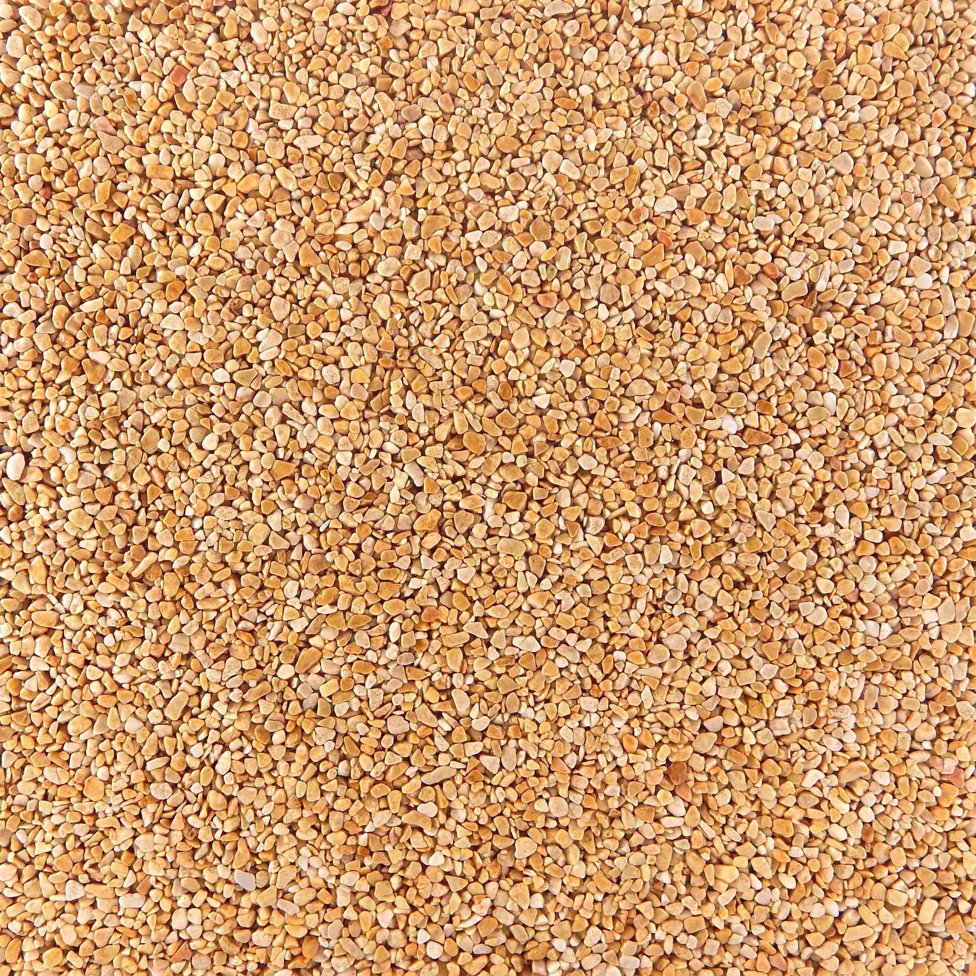 Terralith Steinteppich Marmor Komplett-Set für 1qm - Körnung: fein - 2-4mm mit Polyurethan Bindemittel - für Außen in gelb (giallo)
