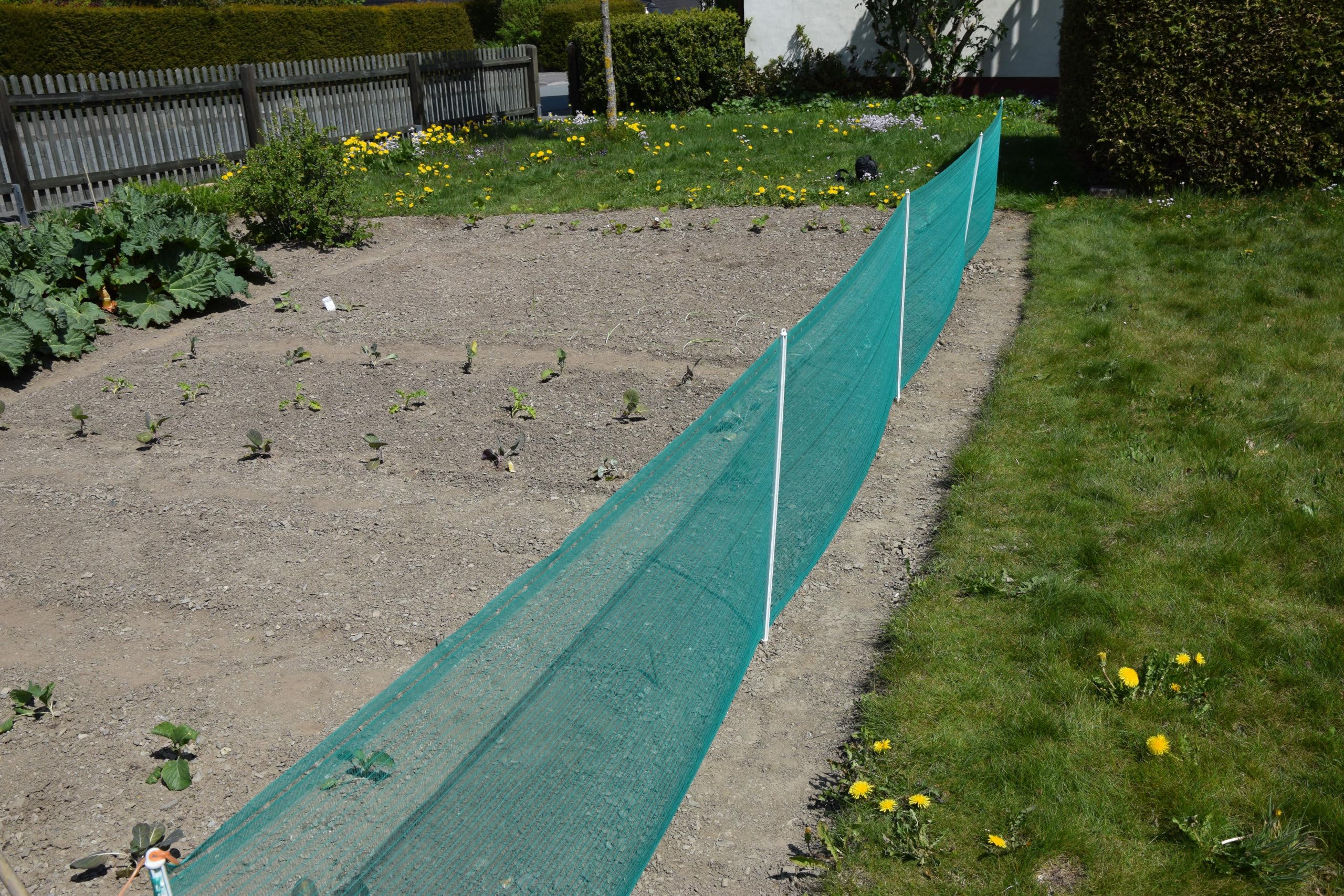 Clôture universelle - KERBL - 20 m - 11 piquets simple pointes - 80 cm - Vert