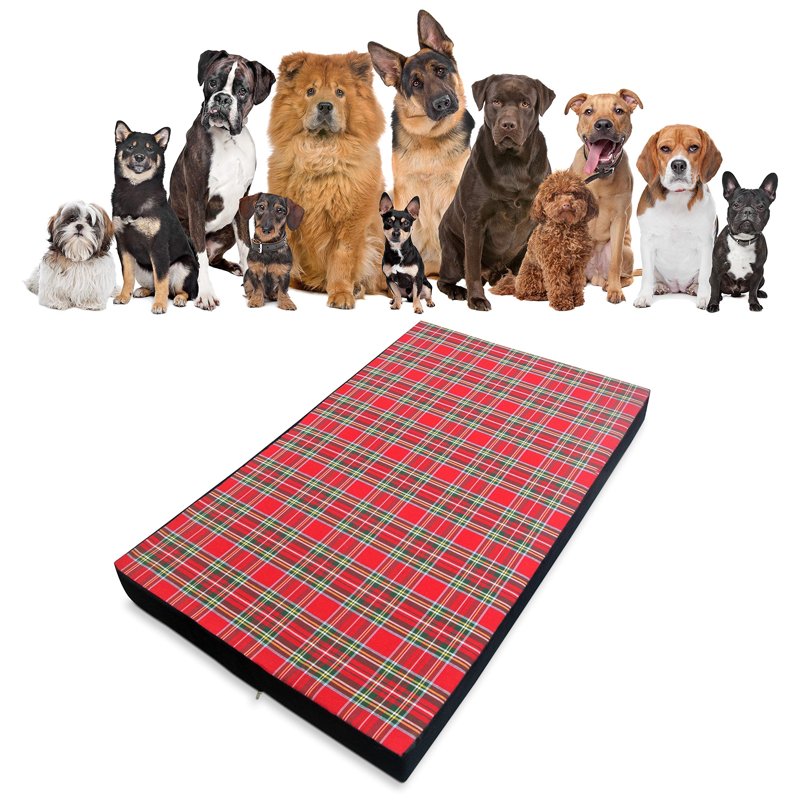 Baldiflex Materassino Cuccia Letto Cuscino Morbida per Cane Berny con Memory Foam h 10 cm, 100x60x10 cm, 8 + 2 cm Memory