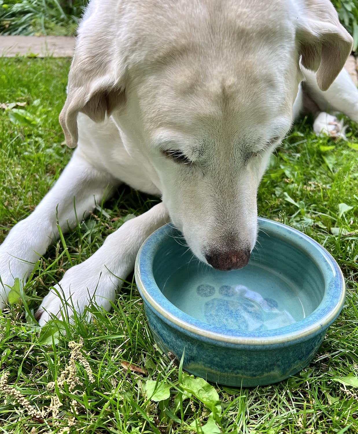 Dog Dish, Pet Supply, Food and Water Bowl, Paw Print, Handmade Ceramic