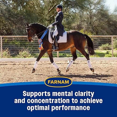 Miniatura 7 de Farnam Quietex Show Paste Suplemento de salud, apoyo calmante y concentrador para alivio rápido del estrés en caballos de alto rendimiento durante
