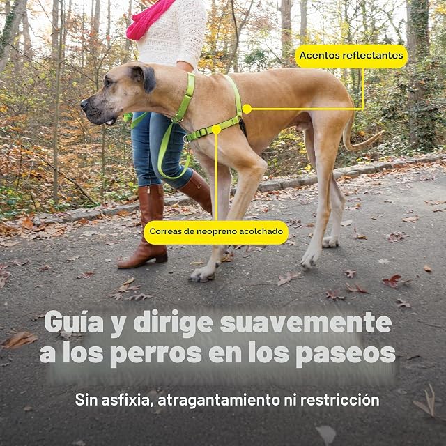 Foto 5 de 8 de PetSafe Easy Walk - Arnés de Lujo para Perro, sin tirones, Evita Que Las Mascotas tiren y se asfixien…