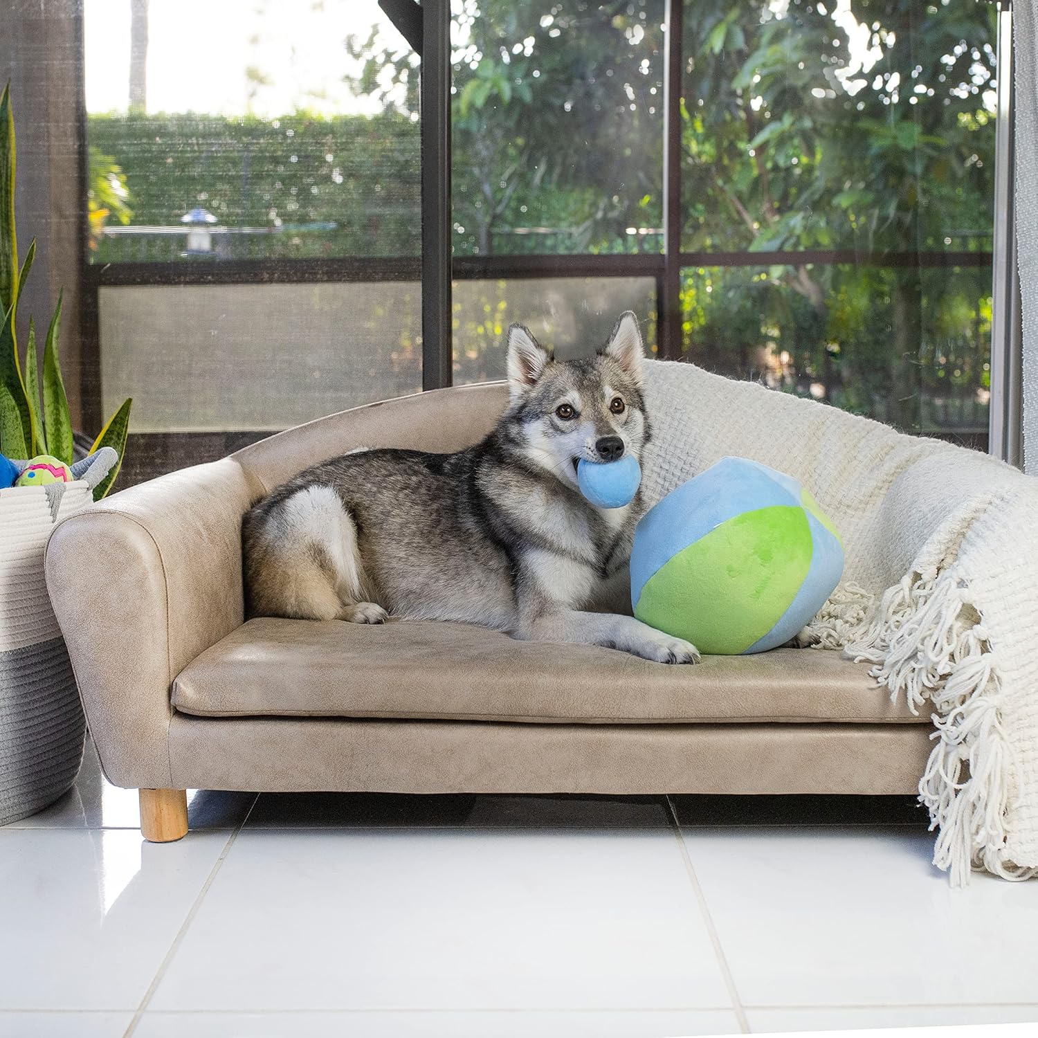 Midlee Hide a Ball Dog Toy - Blue/Green (Small)