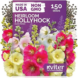 KVITER 150 Hollyhock Seeds (Alcea Rosea) - Common Hollyhock, Large, Colorful Blossoms, Garden Flowers, Non GMO Seed Packets - Biennial Flower Seeds for Borders, Containers, Flower Beds, Outdoor Garden