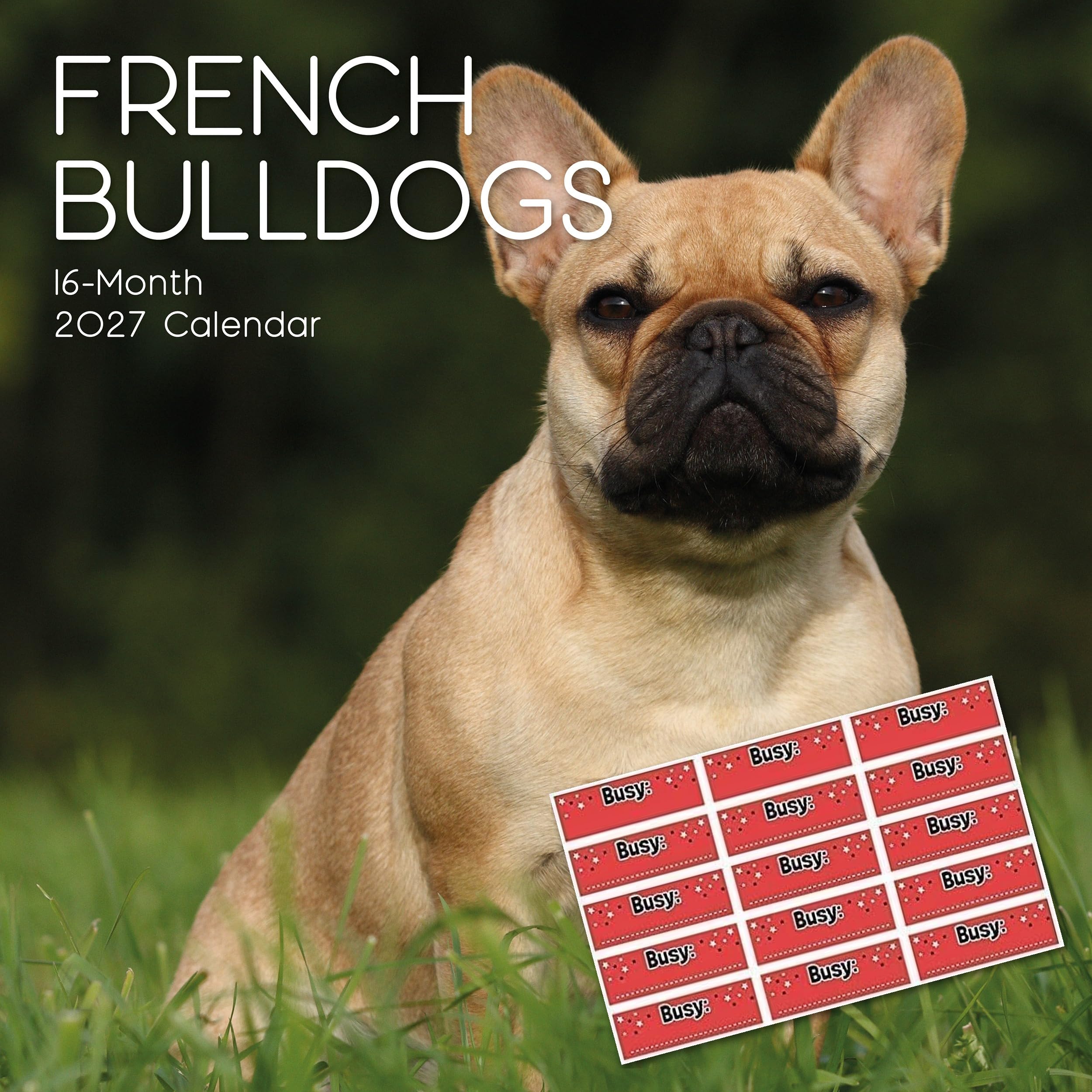 TGSC | French Bulldogs 2027 Calendar with Stickers | Home & Office Planner