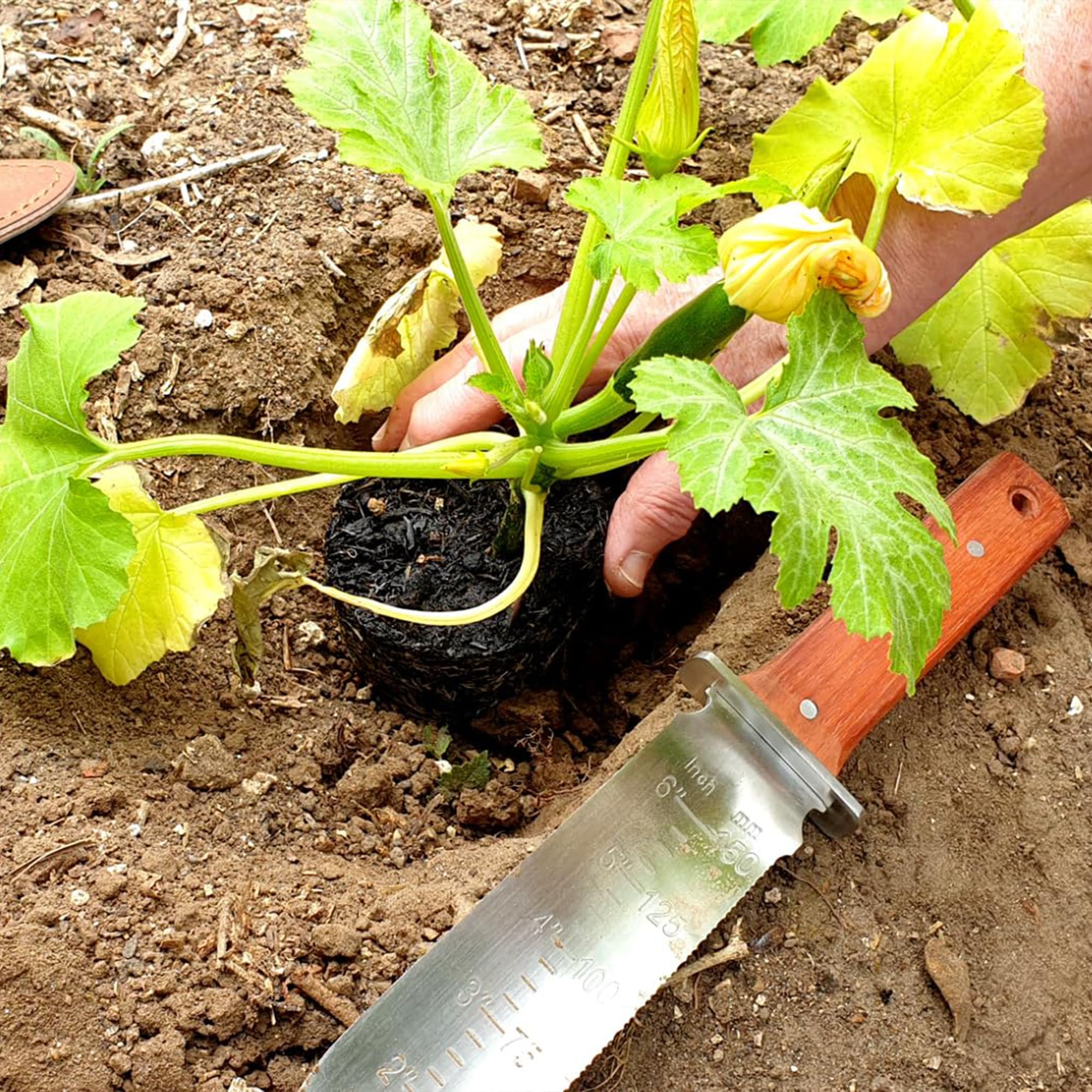 FLORA GUARD Hori Hori Couteau de jardin, Outil Multi-Fonction de Jardin idéal pour désherber, creuser, planter et plus encore, avec un fourreau en cuir épais et une pierre à aiguiser