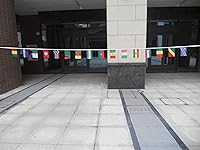 Vista 359 de Guatemala 19.7 ft BUNTING Flag 20 banderas 9'' x 6'' - Banderas de cuerda guatemalteca 5.9 x 8.3 in - AZ FLAG