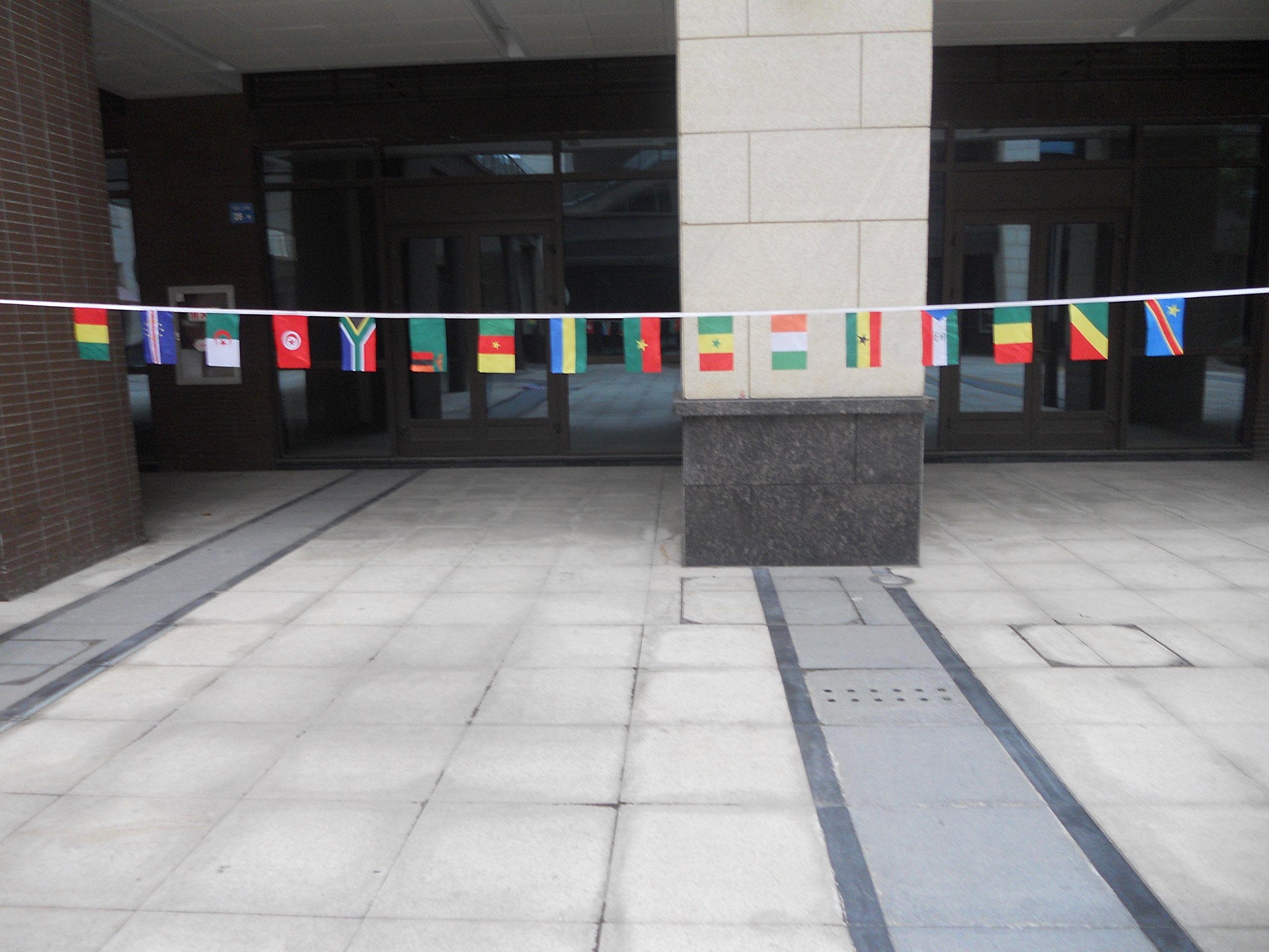 AZ FLAG Football Africa Cup of Nations 2015 Bunting Flag, 16 Feet Garland with 16 Small CAN Flags 8'' x 6''