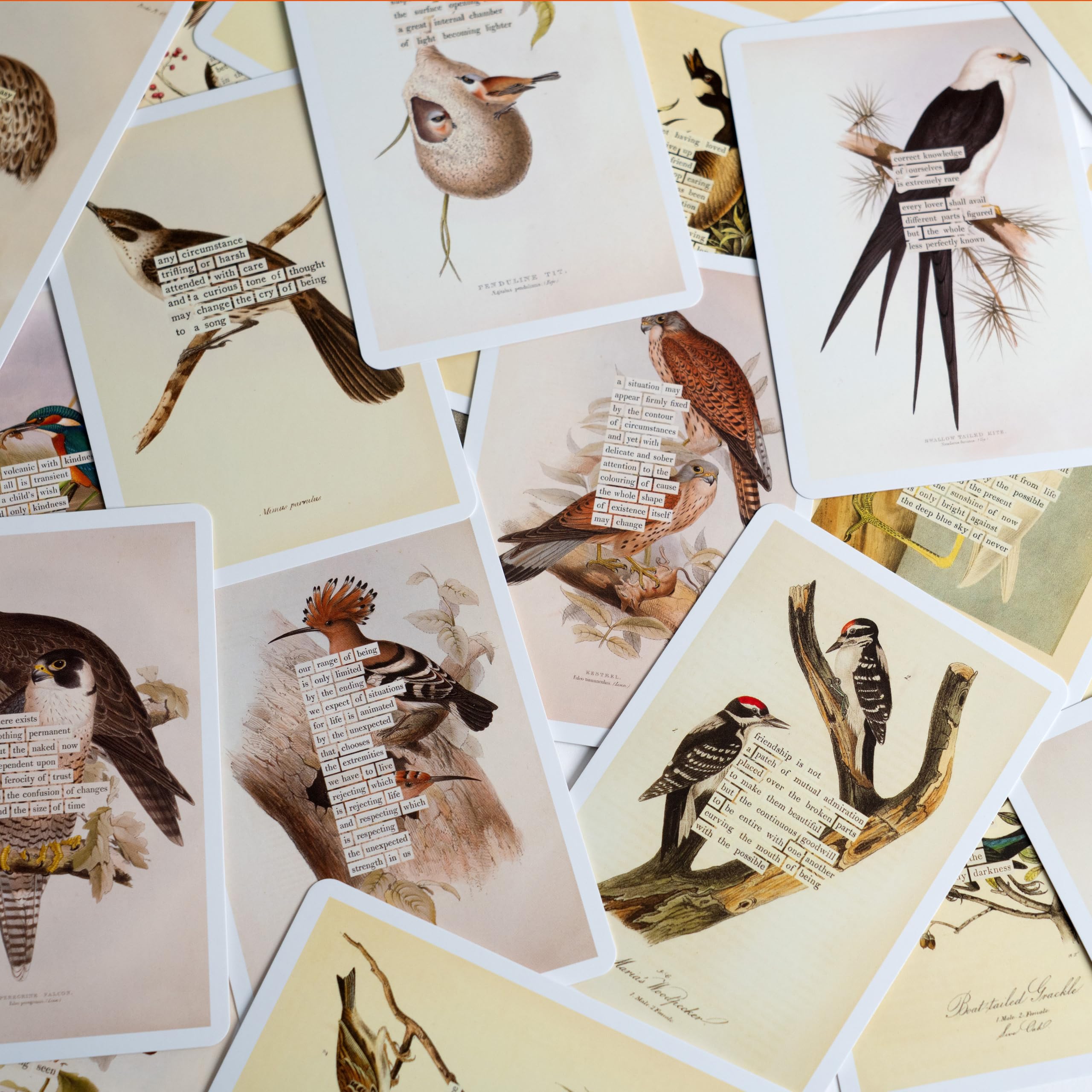 An Almanac of Birds: 100 Divinations for Uncertain Days
