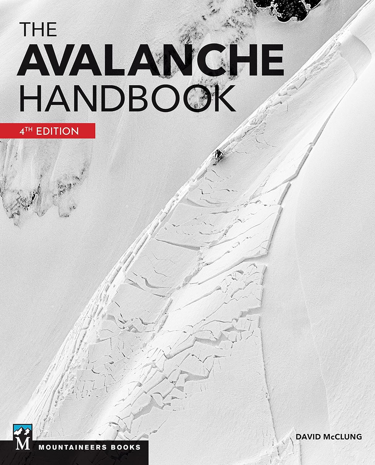 The Avalanche Handbook      Paperback – January 4, 2023