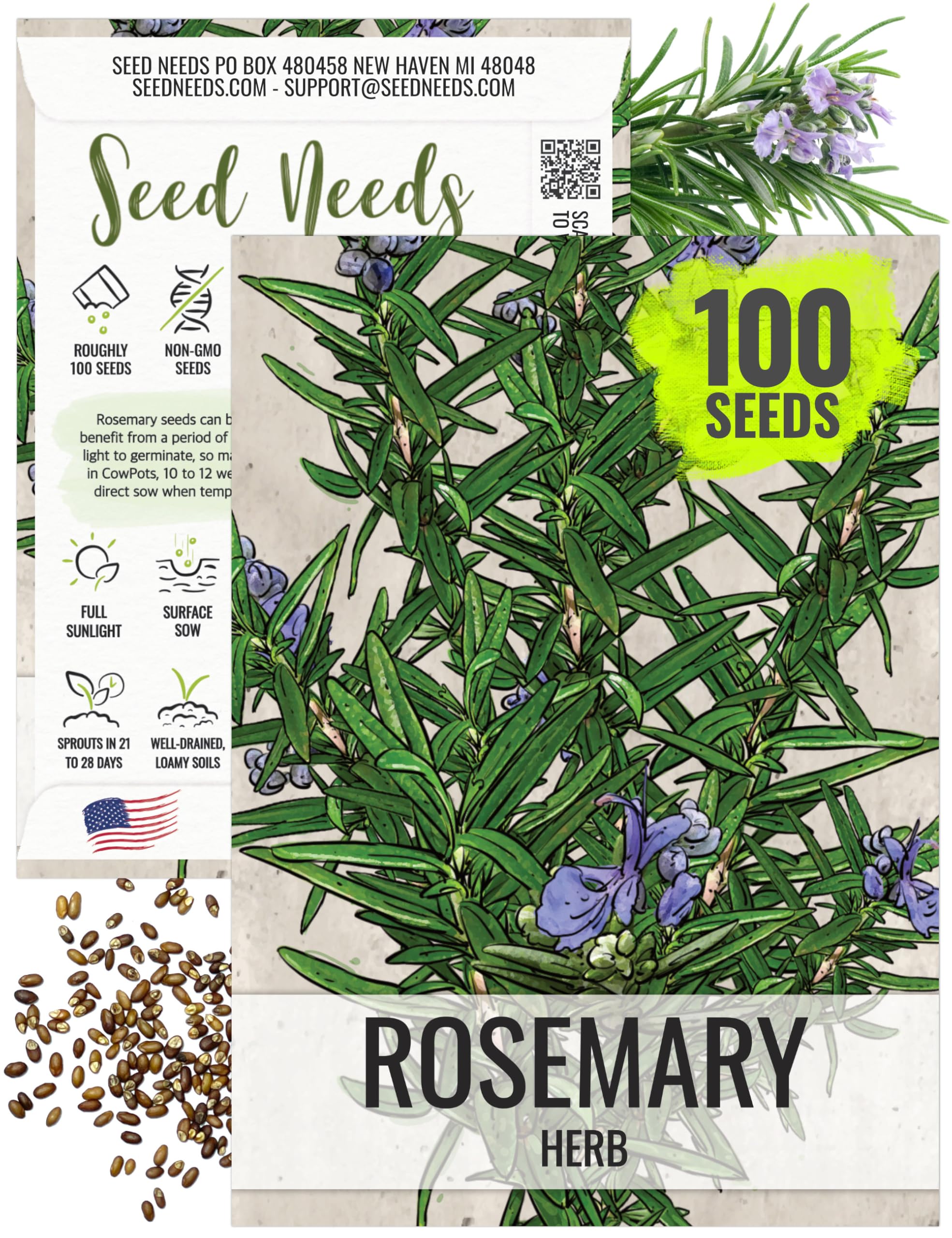 Seed Needs Rosemary Seeds for Planting - Non-GMO Heirloom & Untreated Perennial Herbs to Plant a Medicinal & Culinary Kitchen Garden Indoors or Outdoors (1 Pack)