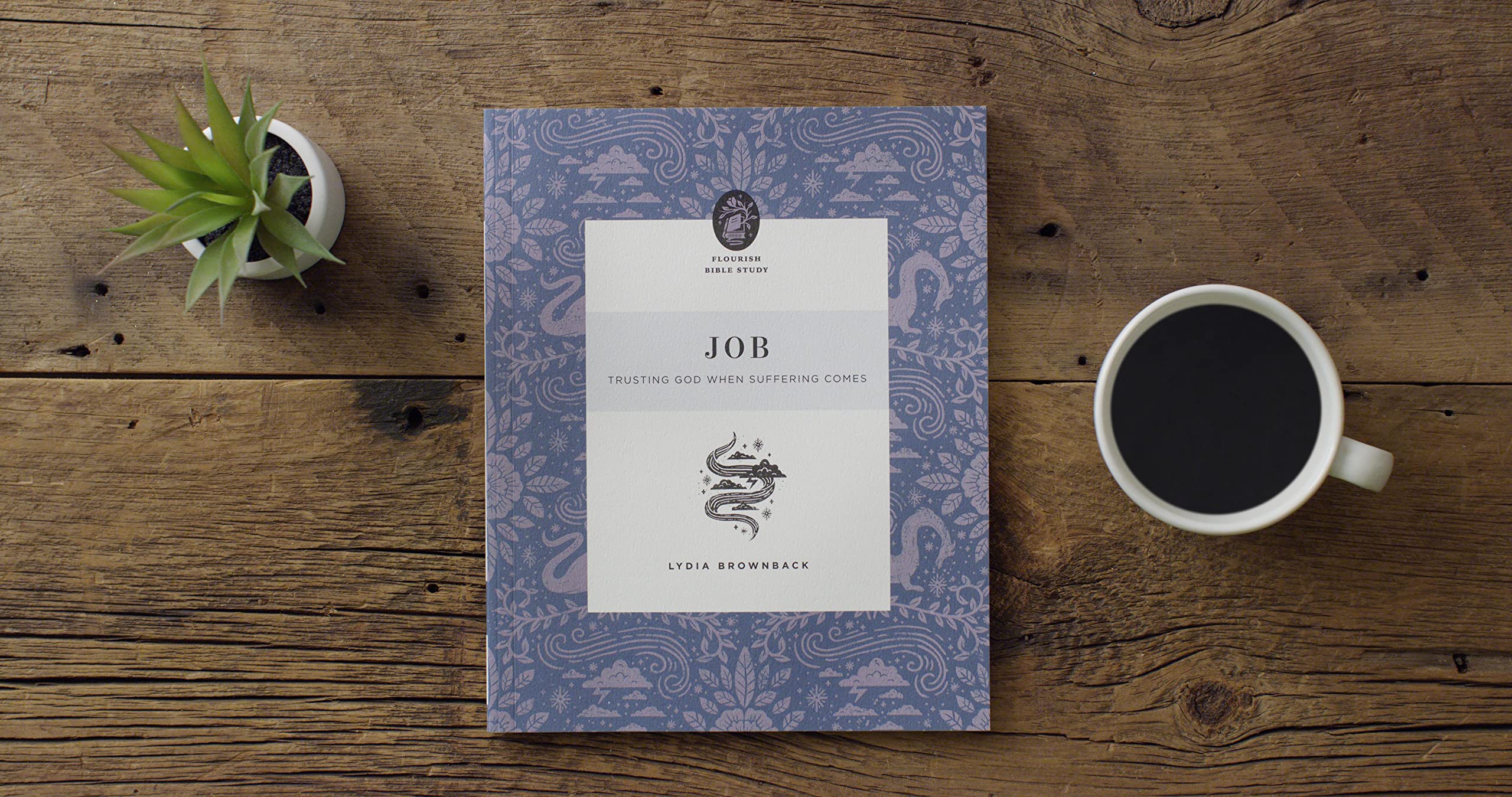 Job: Trusting God When Suffering Comes (Flourish Bible Study) - Image 2