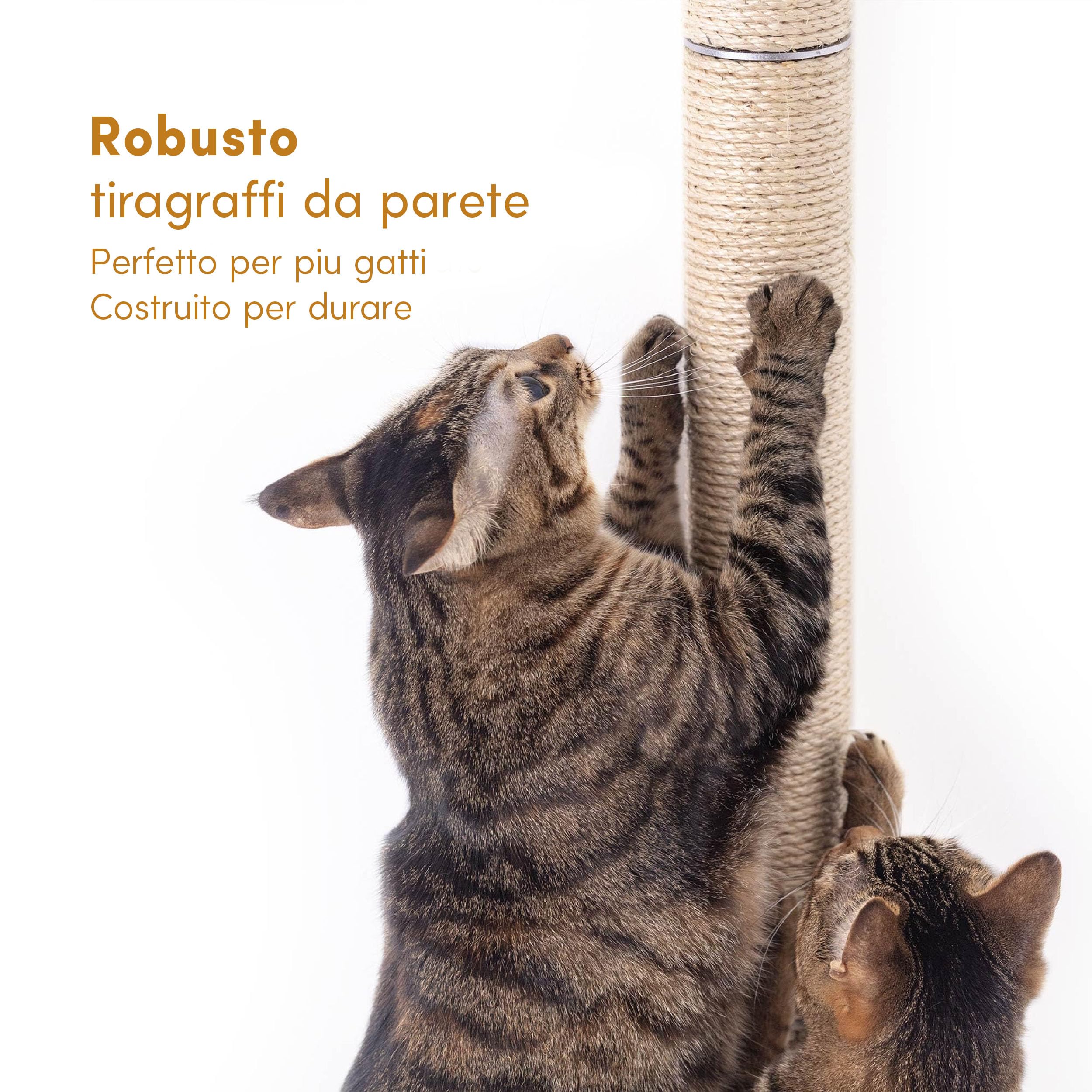 Tiragraffi da Parete per Gatti 86,4 cm | Palo Tiragraffi in Sisal Naturale | Tiragraffi Verticale per Gatti | Soluzione Salvaspazio da Parete | Gatti Moderno e Resistente