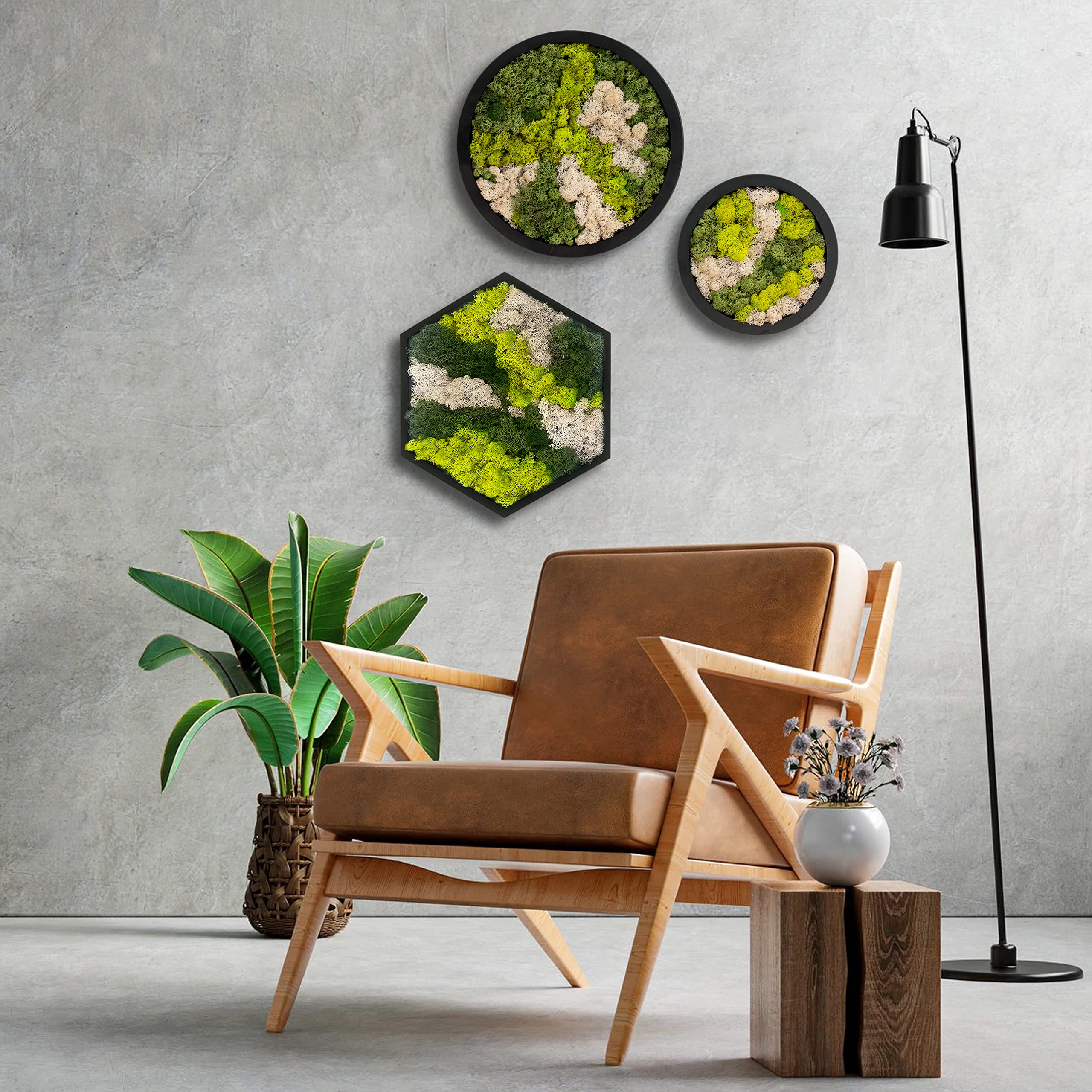 comforder Rond wandbeeld met echt mos (ø38 cm), Geconserveerd mosbeeld met houten lijst, natuurlijke wanddecoratie voor de woonkamer
