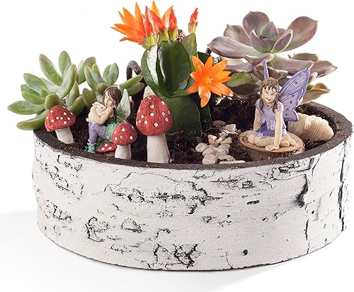 Miniatura 2 de Nature Innovations BS-9-CS-6 - BS-9-CS-6