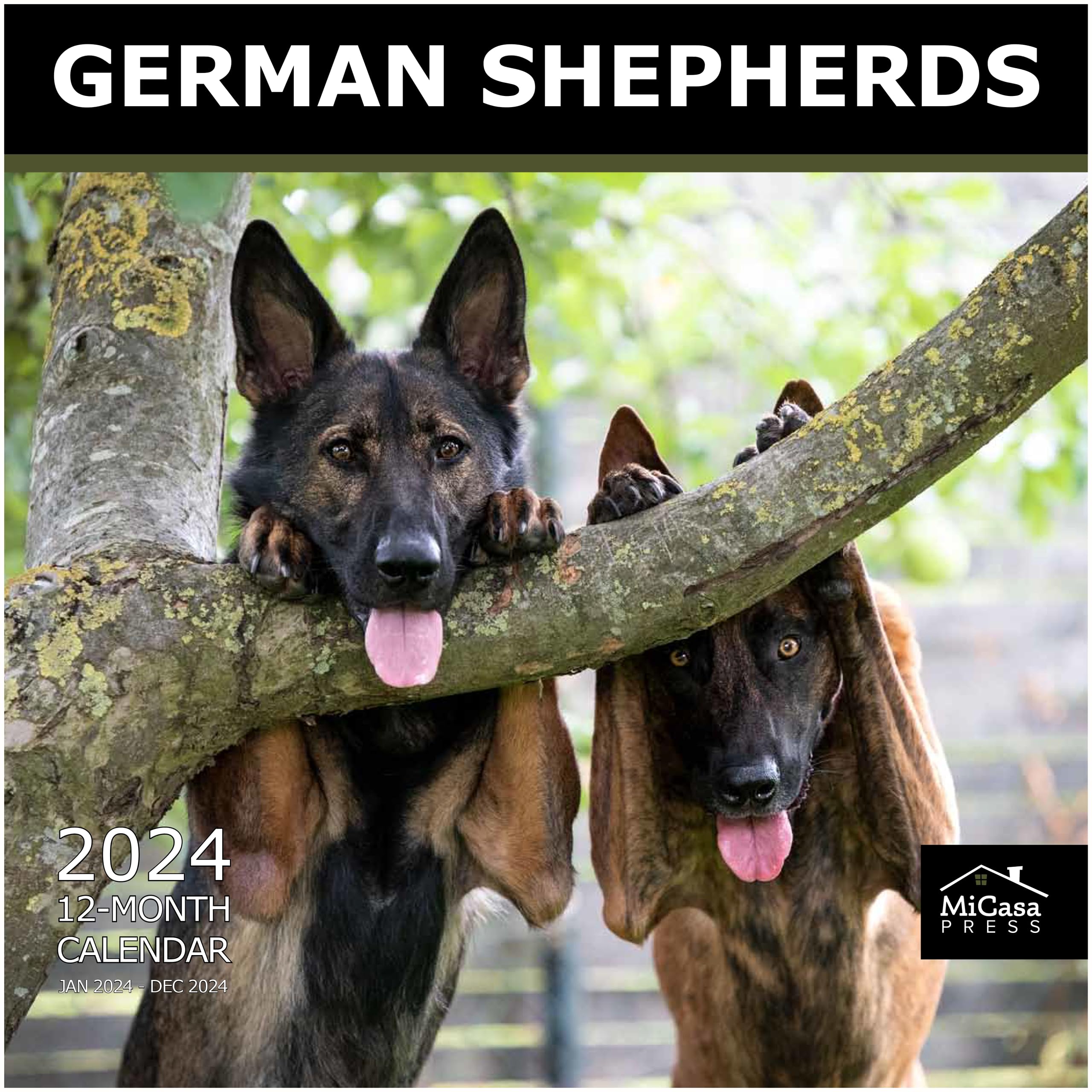 MICASA German Shepherds 2024 Hangable Monthly Wall Calendar | 12" x 24" Open | Thick & Sturdy Paper | Giftable | Cute Dog