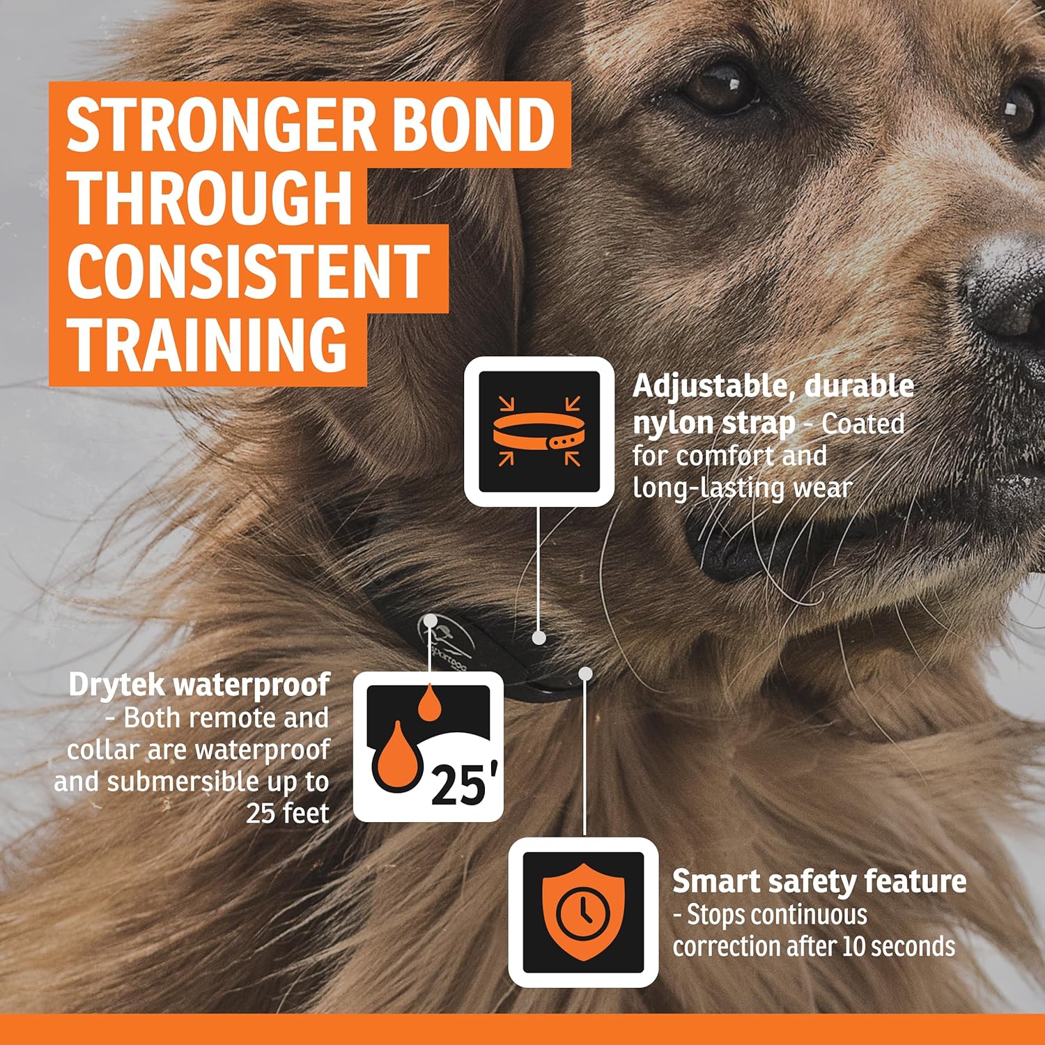 SportDOG Brand® YardTrainer 100S Remote Trainer - Shock Collar for Stubborn Dogs - Train with Tone, vibrate, or Static