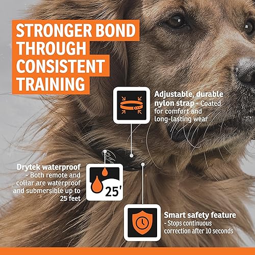 Miniatura 5 de SportDOG Brand YardTrainer - Entrenadores remotos familiares, recargables, impermeables, collares de entrenamiento para perros con estática,