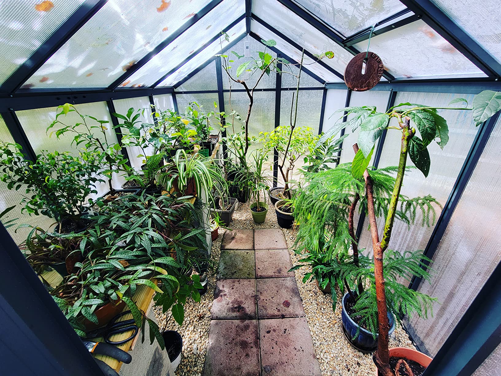 $16/mo - Finance VEIKOU Greenhouse for Outdoor Heavy Duty Polycarbonate ...