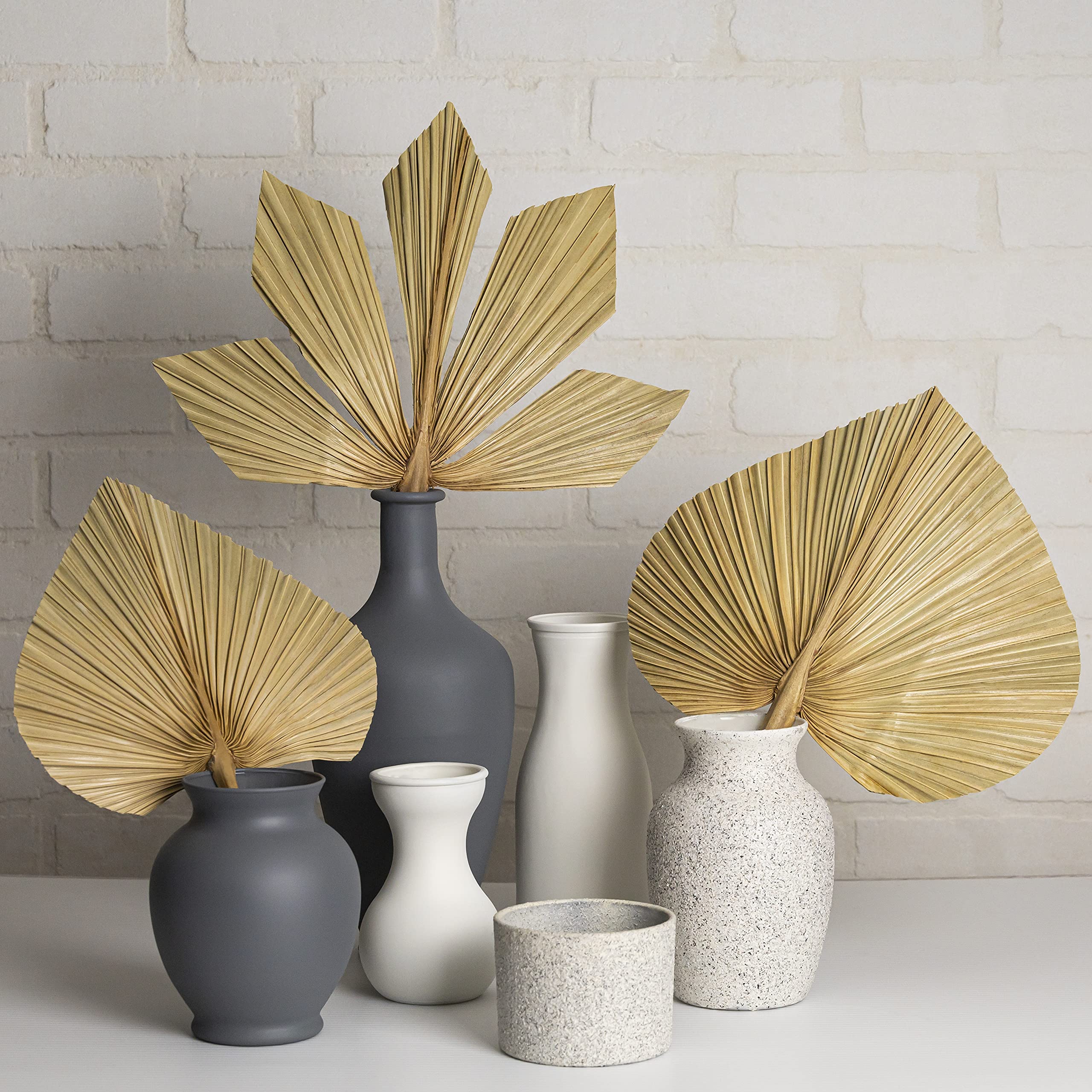 TOYANDONA 6er Set Getrocknete Palmblätter - Natürliche Deko Für Hochzeit & Wohnzimmer